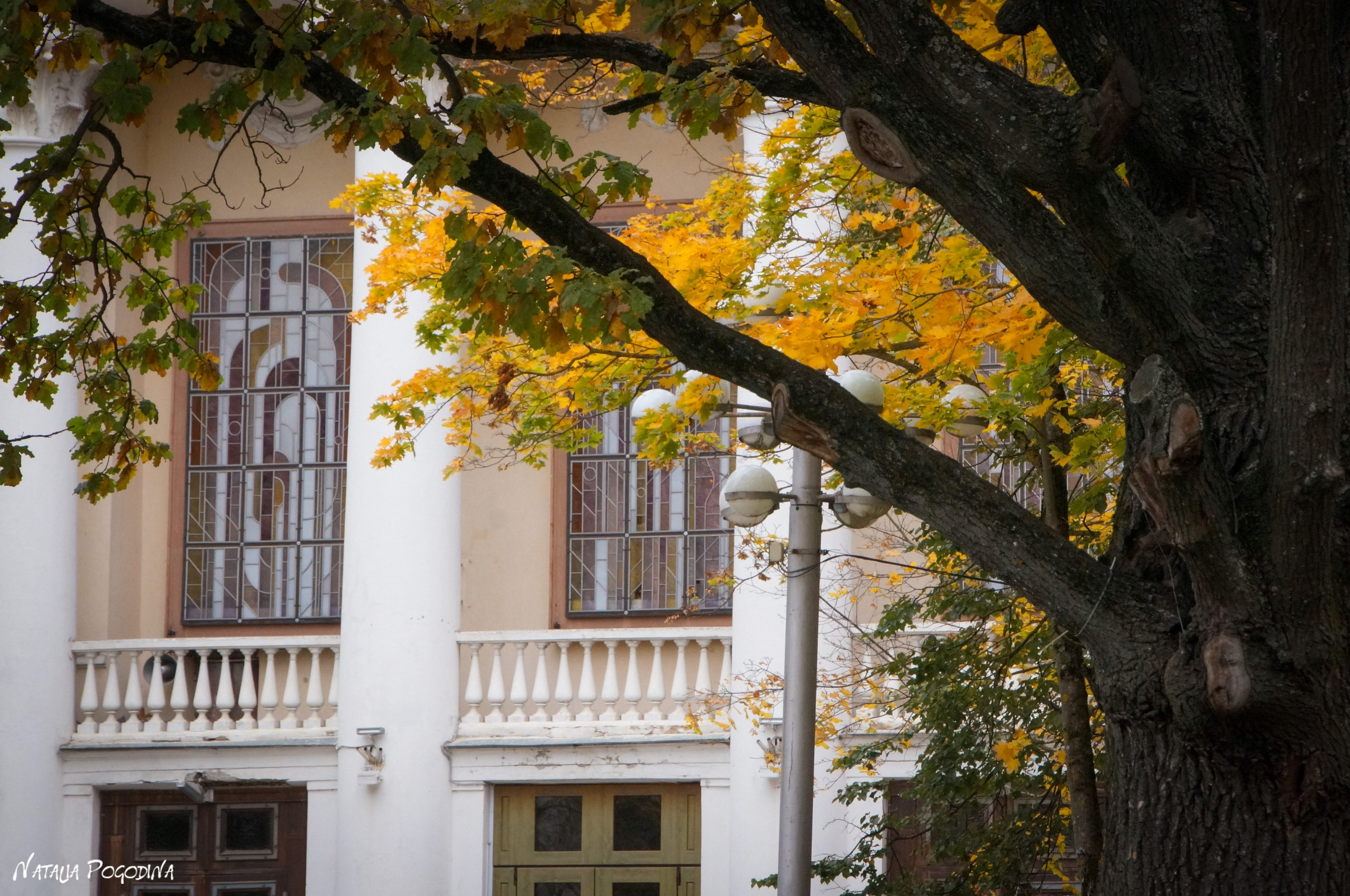 ОБНИНСК. Фотограф Наталья Погодина в г. Обнинске