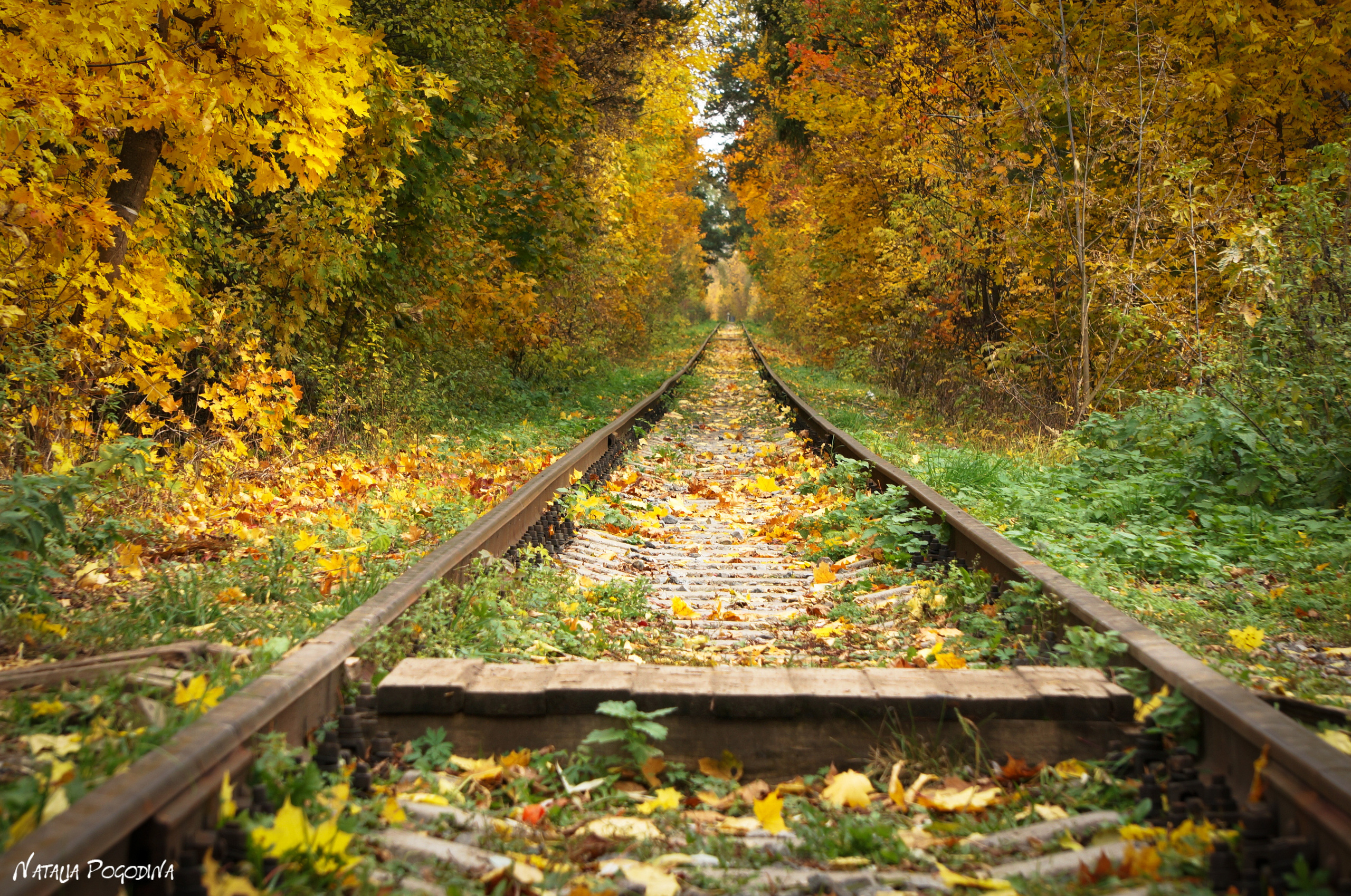 ОБНИНСК. Фотограф Наталья Погодина в г. Обнинске