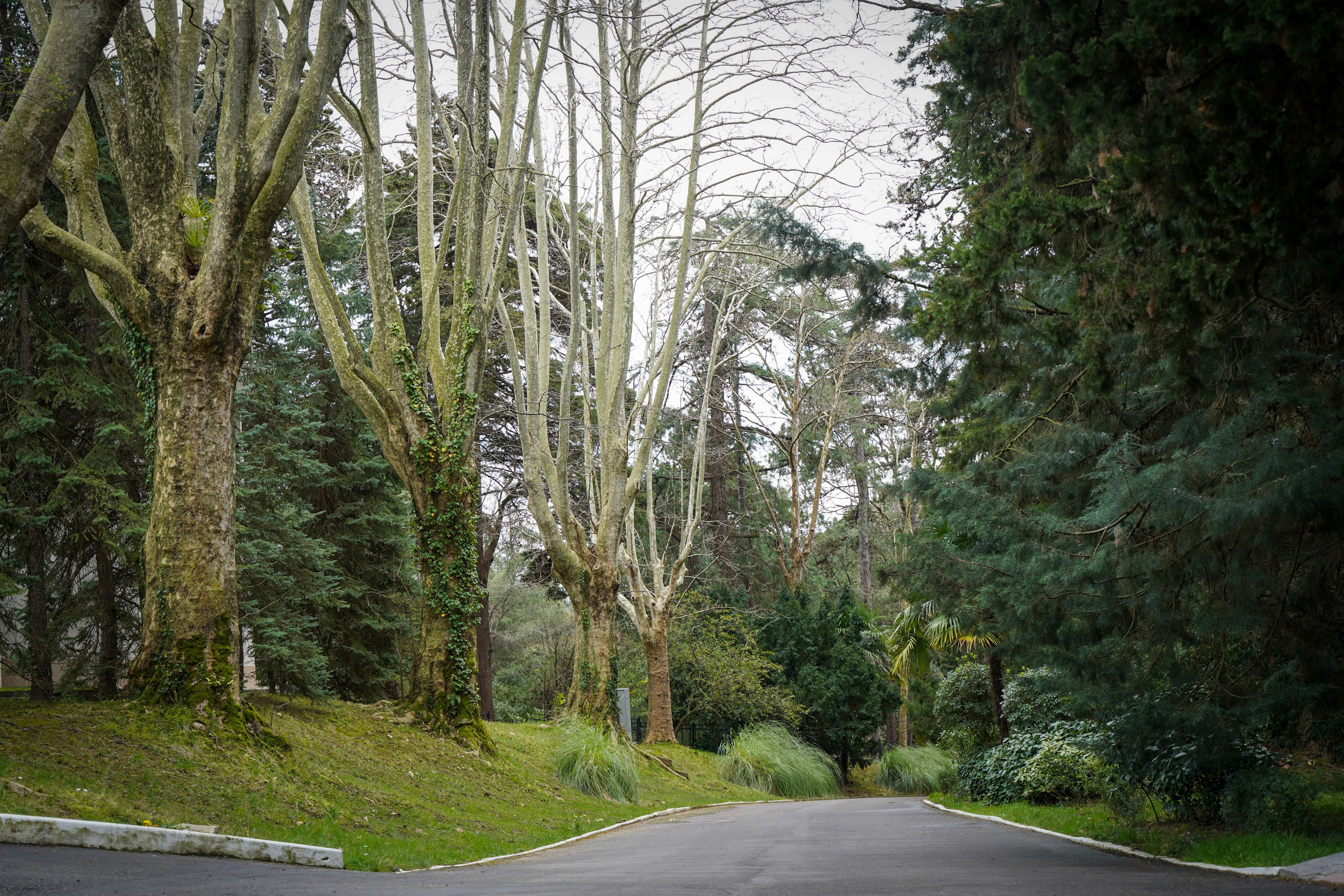 Фото Сочи 2023. Фотограф Наталья Погодина в г. Обнинске