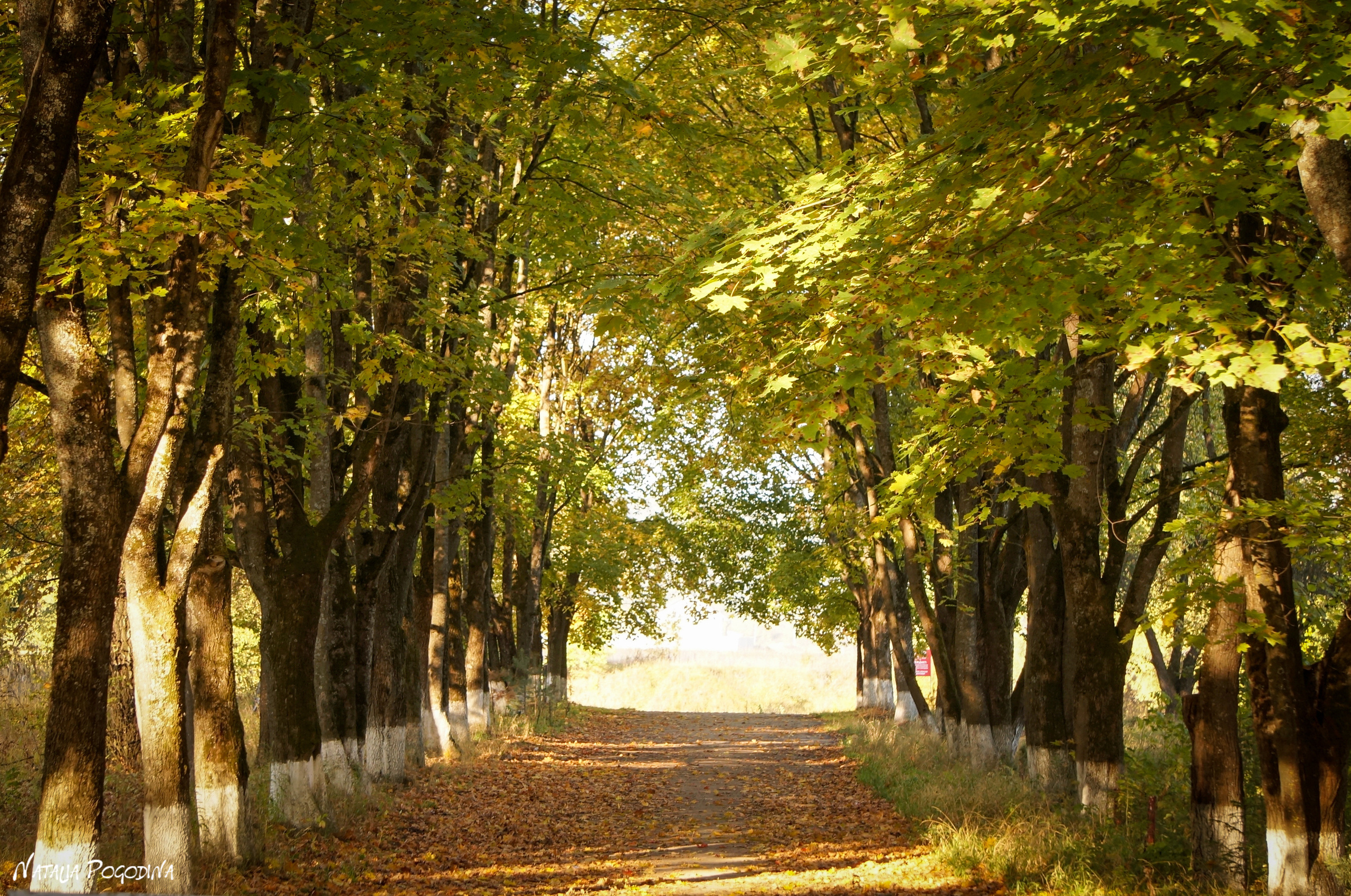 ОБНИНСК. Фотограф Наталья Погодина в г. Обнинске