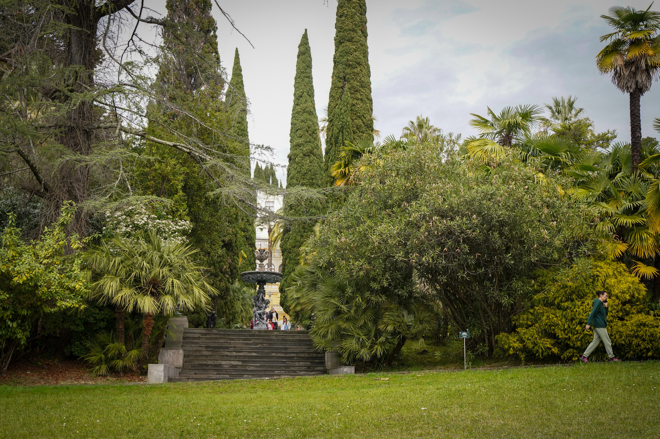 Фото Сочи 2023. Фотограф Наталья Погодина в г. Обнинске
