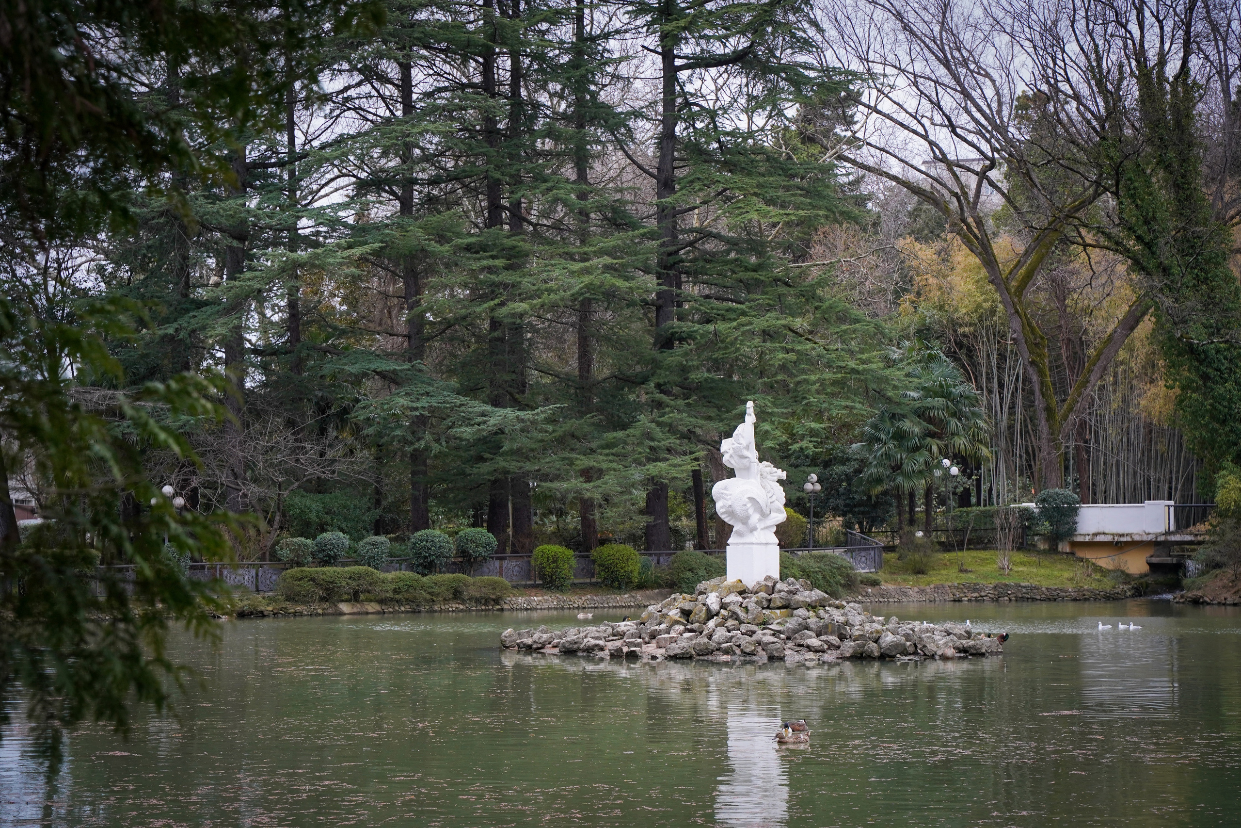 Фото Сочи 2023. Фотограф Наталья Погодина в г. Обнинске