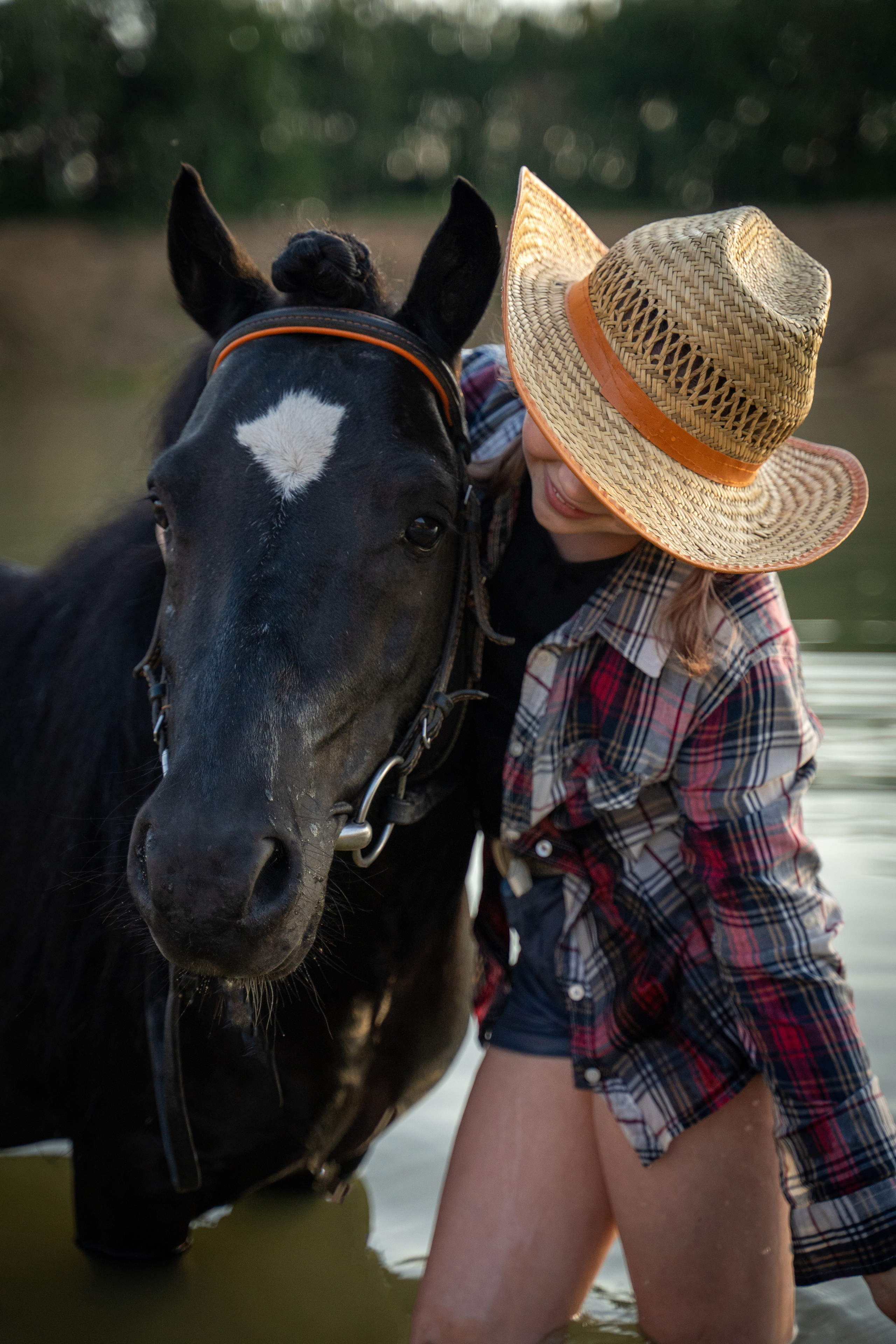 Фотосъемка с лошадью. Анималист фотограф. Фотосессия с лошадью на закате