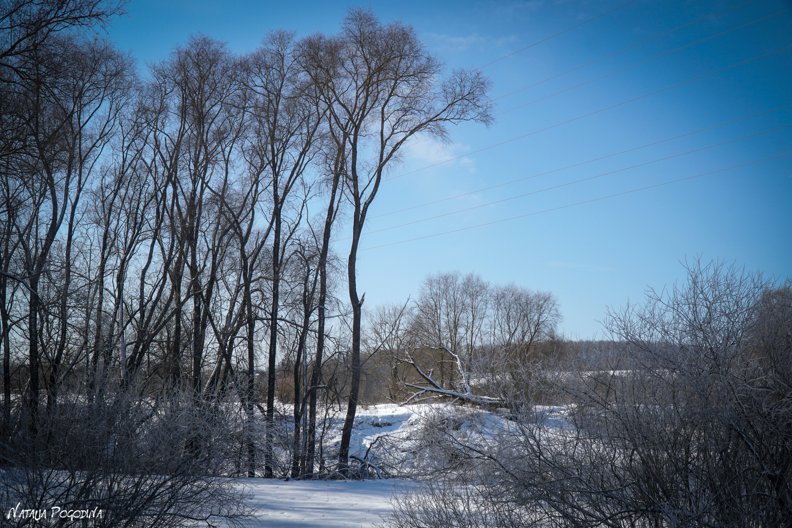 ОБНИНСК. Фотограф Наталья Погодина в г. Обнинске