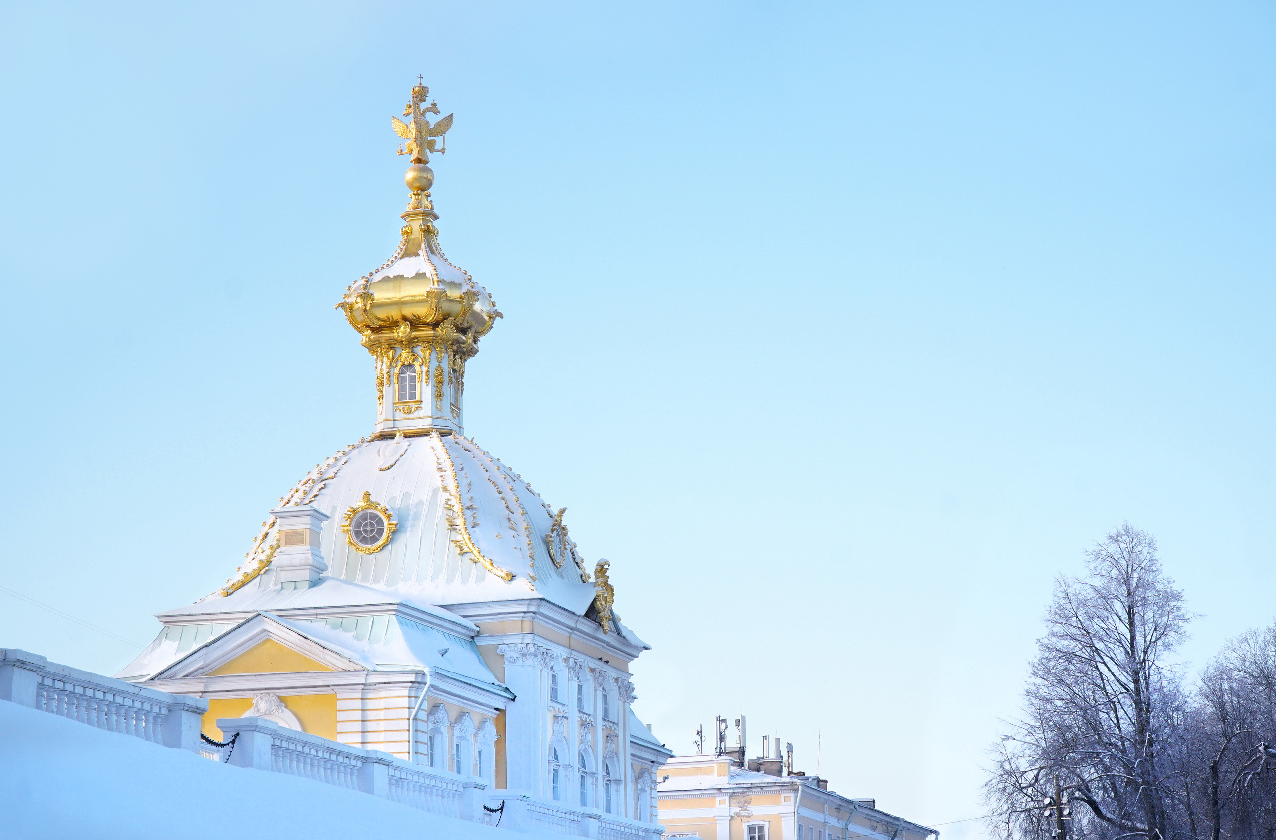 ПЕТЕРГОФ. Январь 2022. Фотограф Наталья Погодина в г. Обнинске