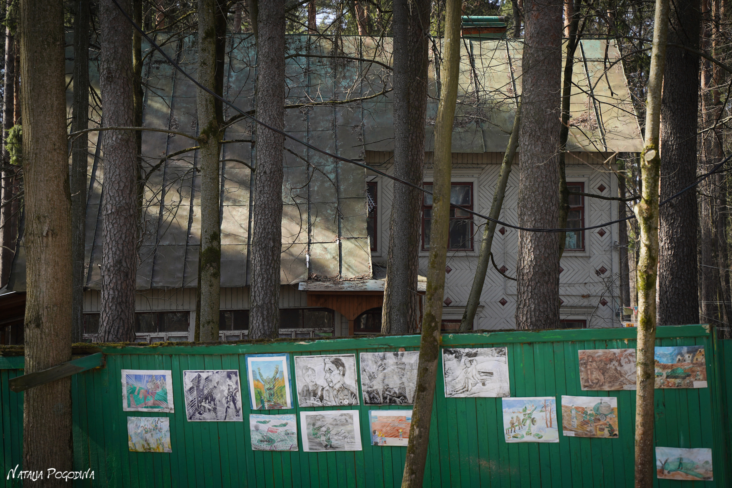 Фотопрогулка в Переделкино. Фотограф Наталья Погодина в г. Обнинске
