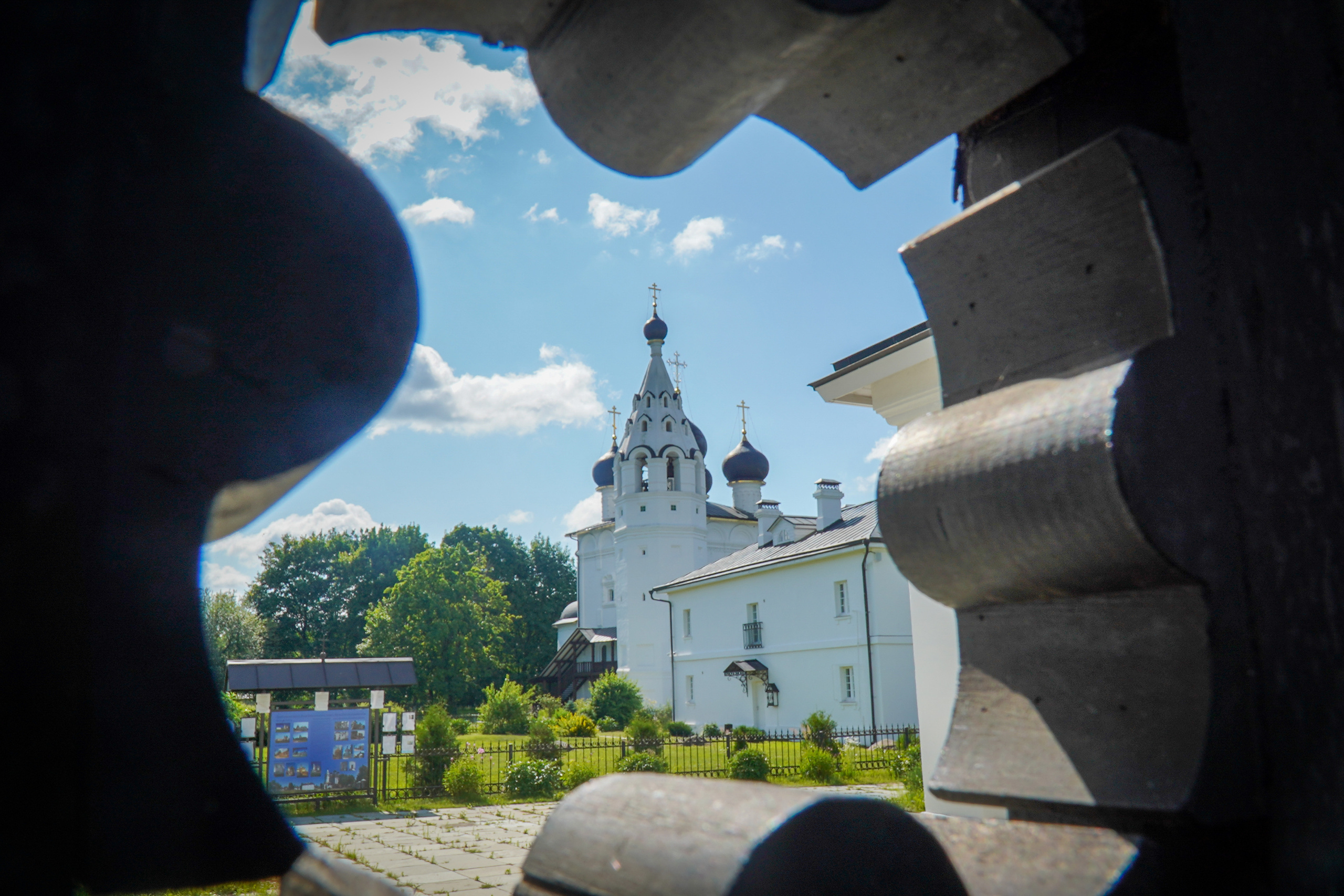 ВЕРЕЯ. Июль 2023. Фотограф Наталья Погодина в г. Обнинске