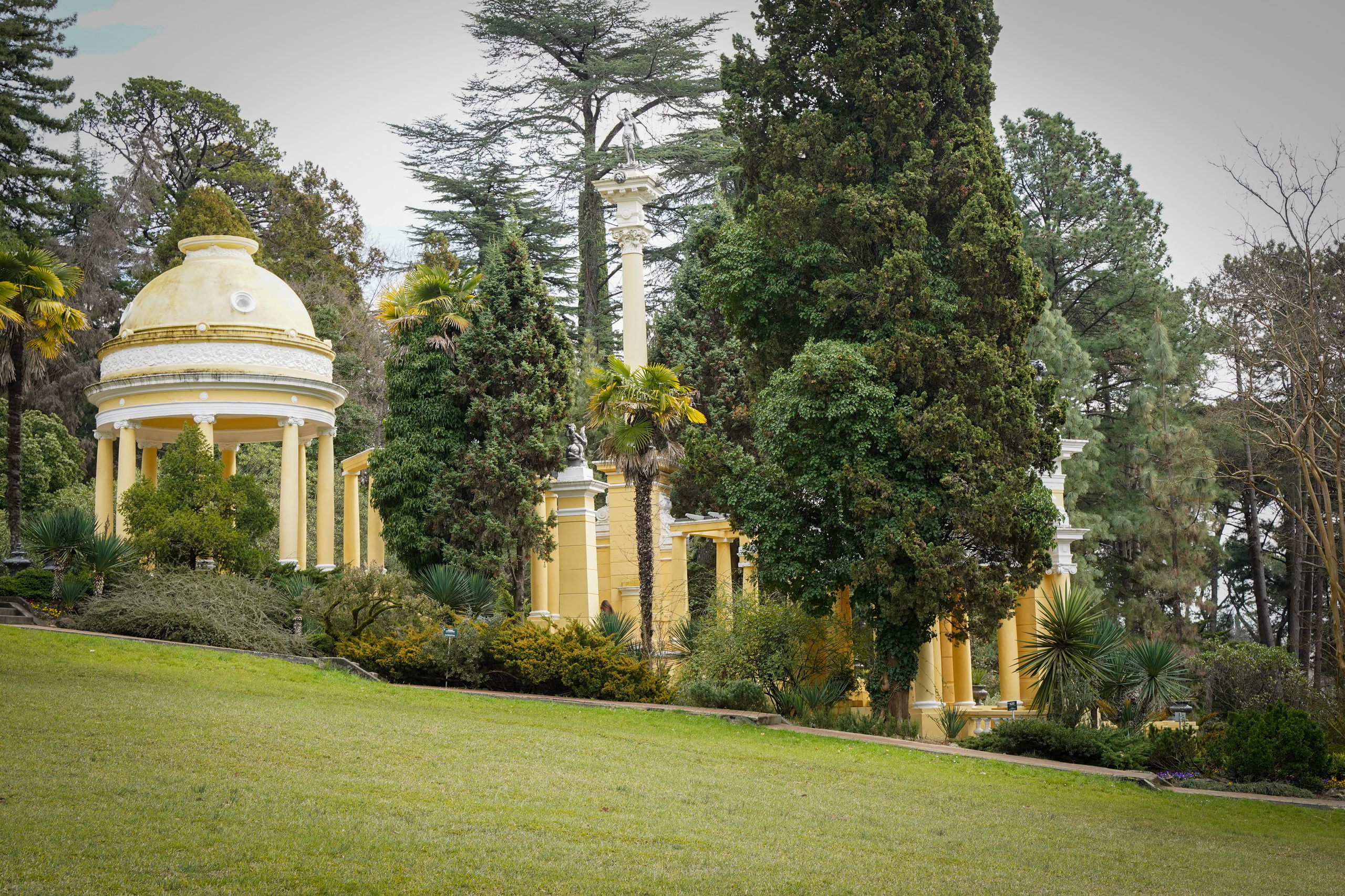 Фото Сочи 2023. Фотограф Наталья Погодина в г. Обнинске