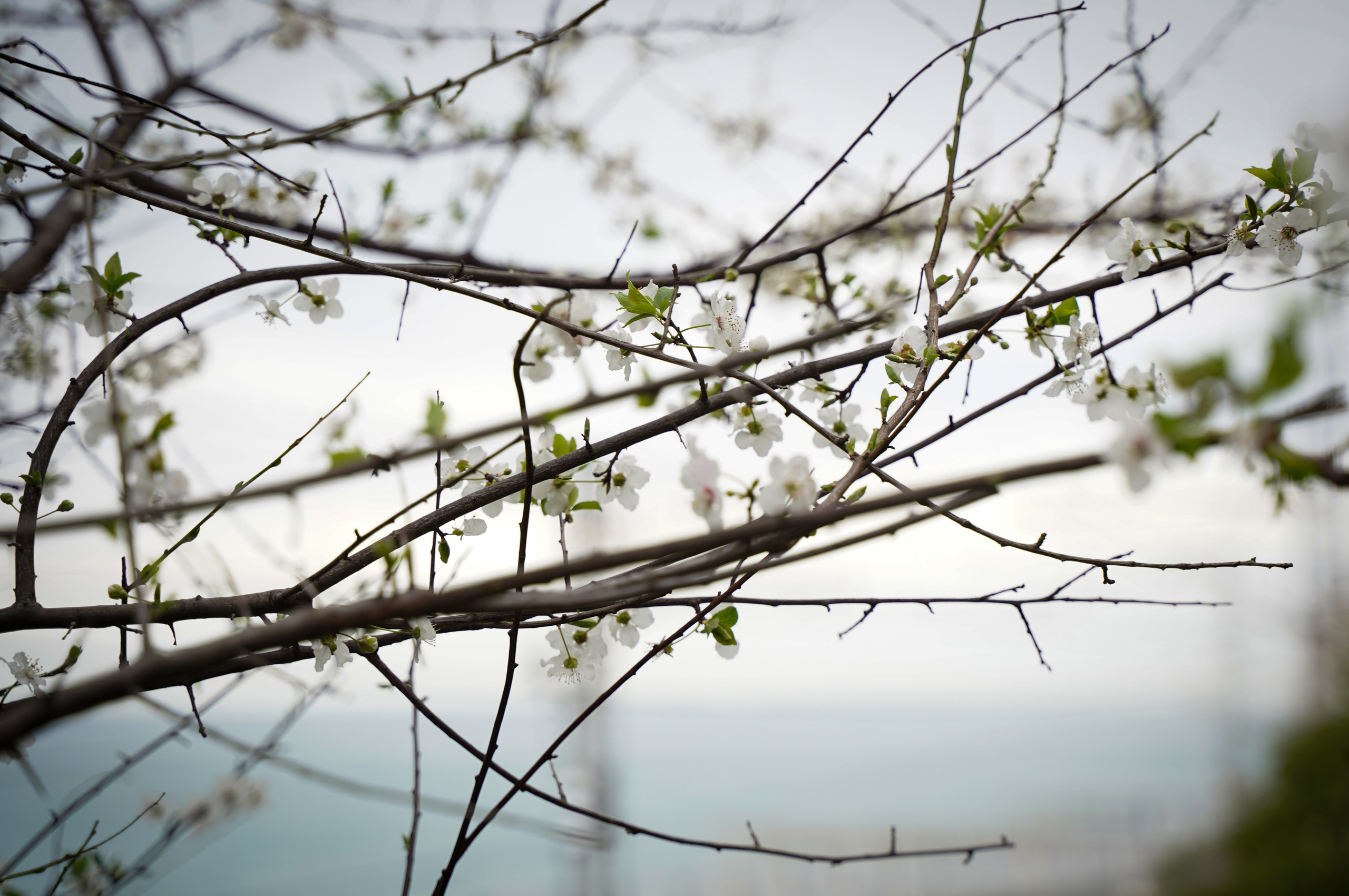 Фото Сочи 2023. Фотограф Наталья Погодина в г. Обнинске