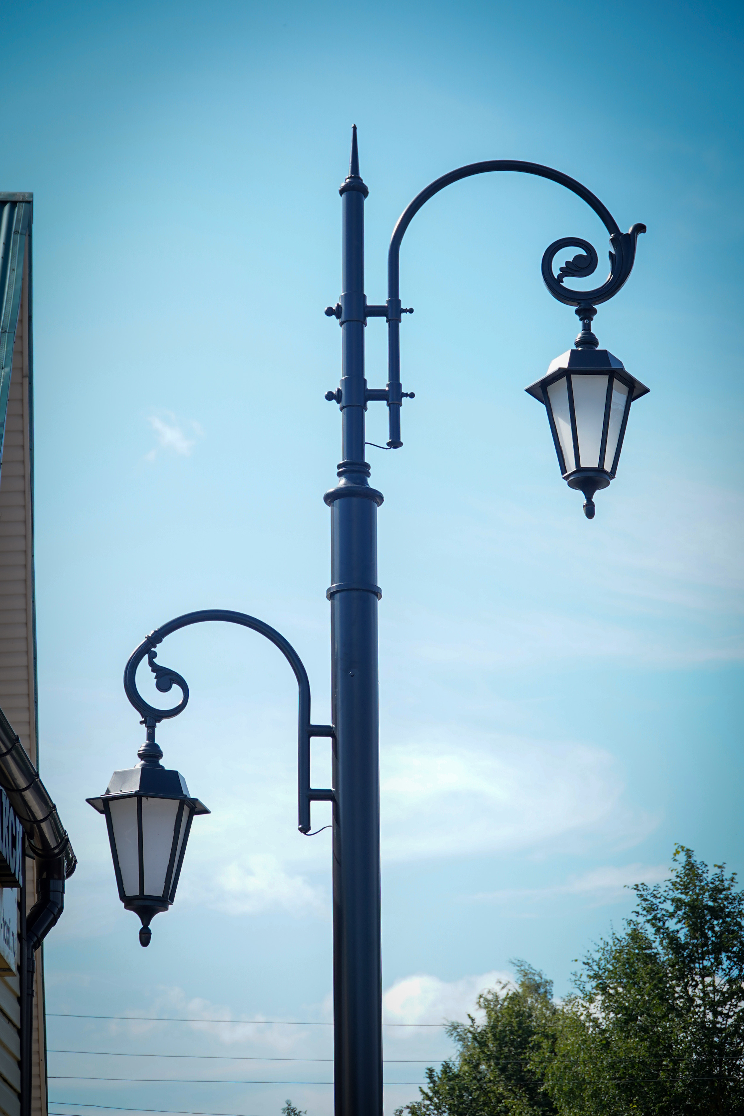 ВЕРЕЯ. Июль 2023. Фотограф Наталья Погодина в г. Обнинске