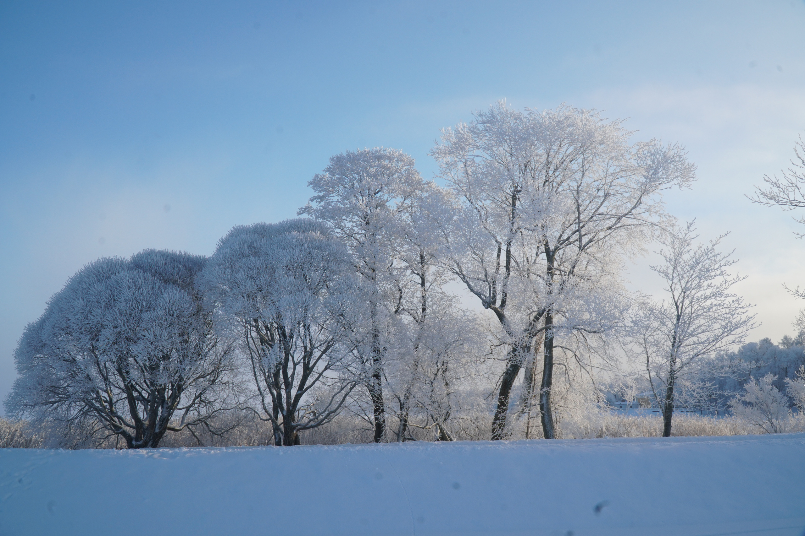 ПЕТЕРГОФ. Январь 2022. Фотограф Наталья Погодина в г. Обнинске