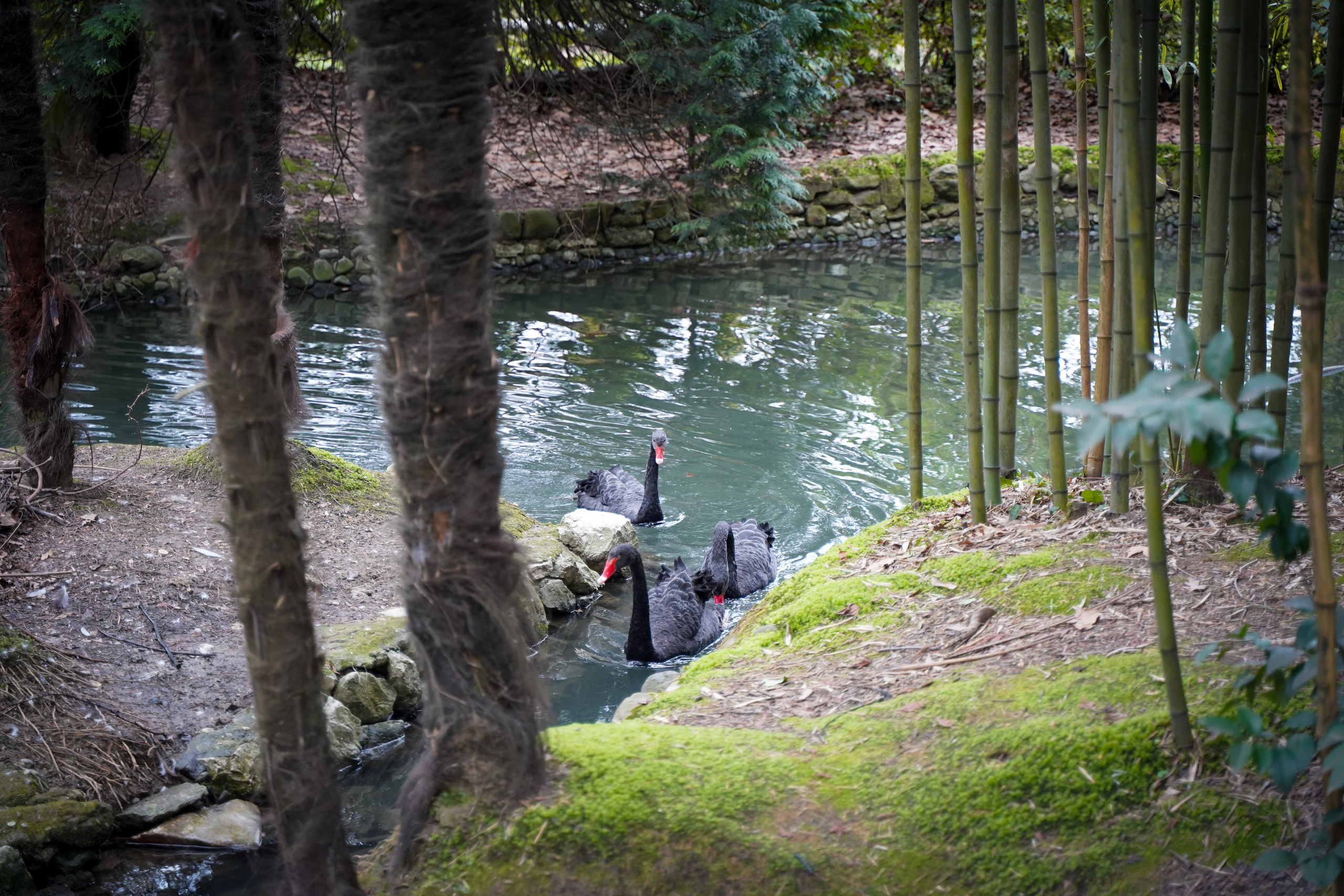 Фото Сочи 2023. Фотограф Наталья Погодина в г. Обнинске