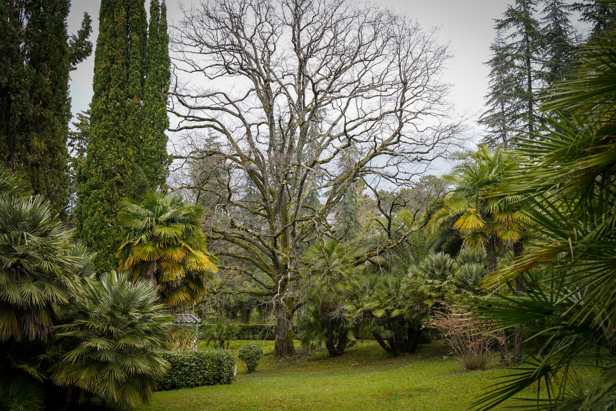 Фото Сочи 2023. Фотограф Наталья Погодина в г. Обнинске