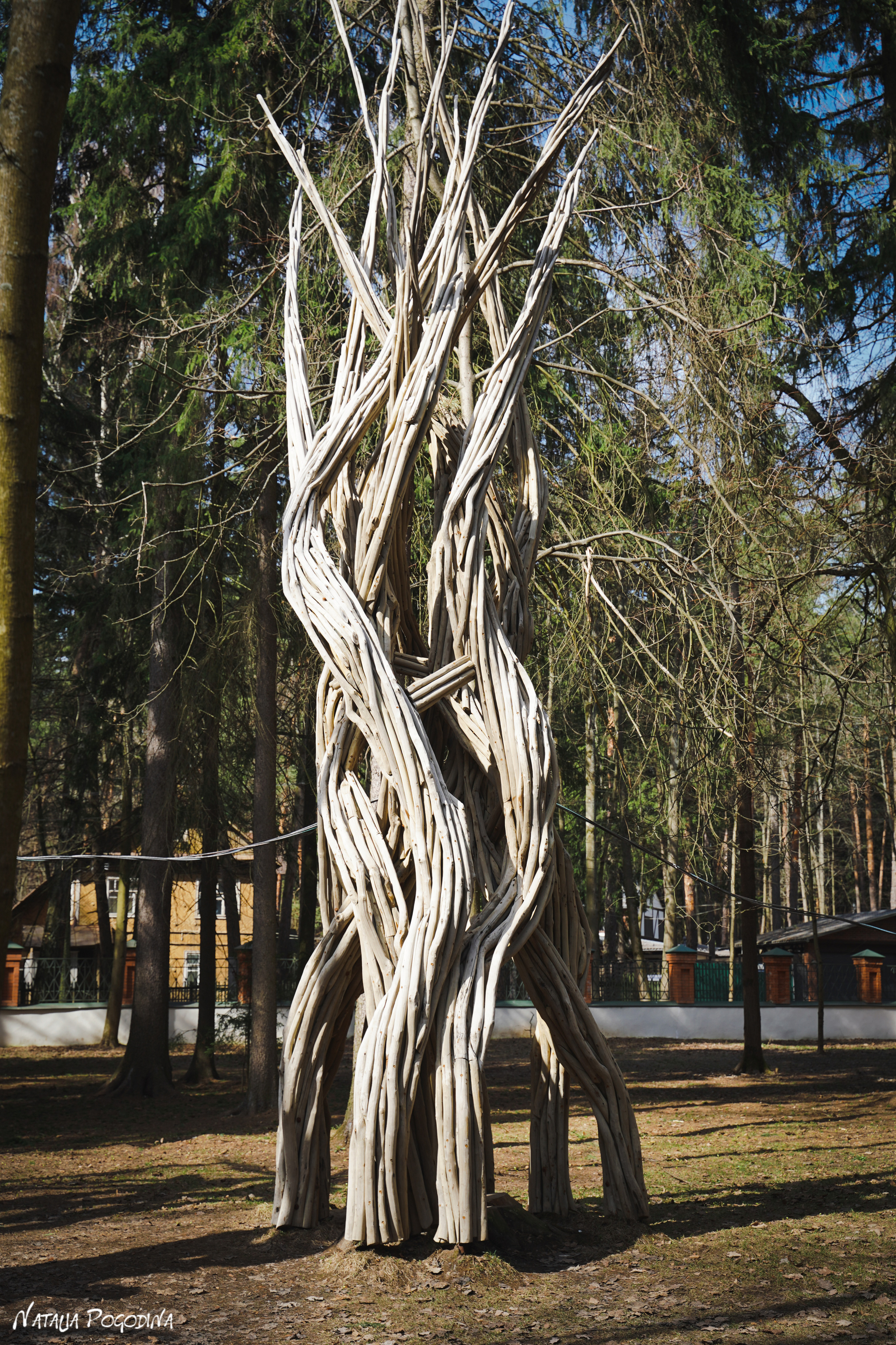 Фотопрогулка в Переделкино. Фотограф Наталья Погодина в г. Обнинске