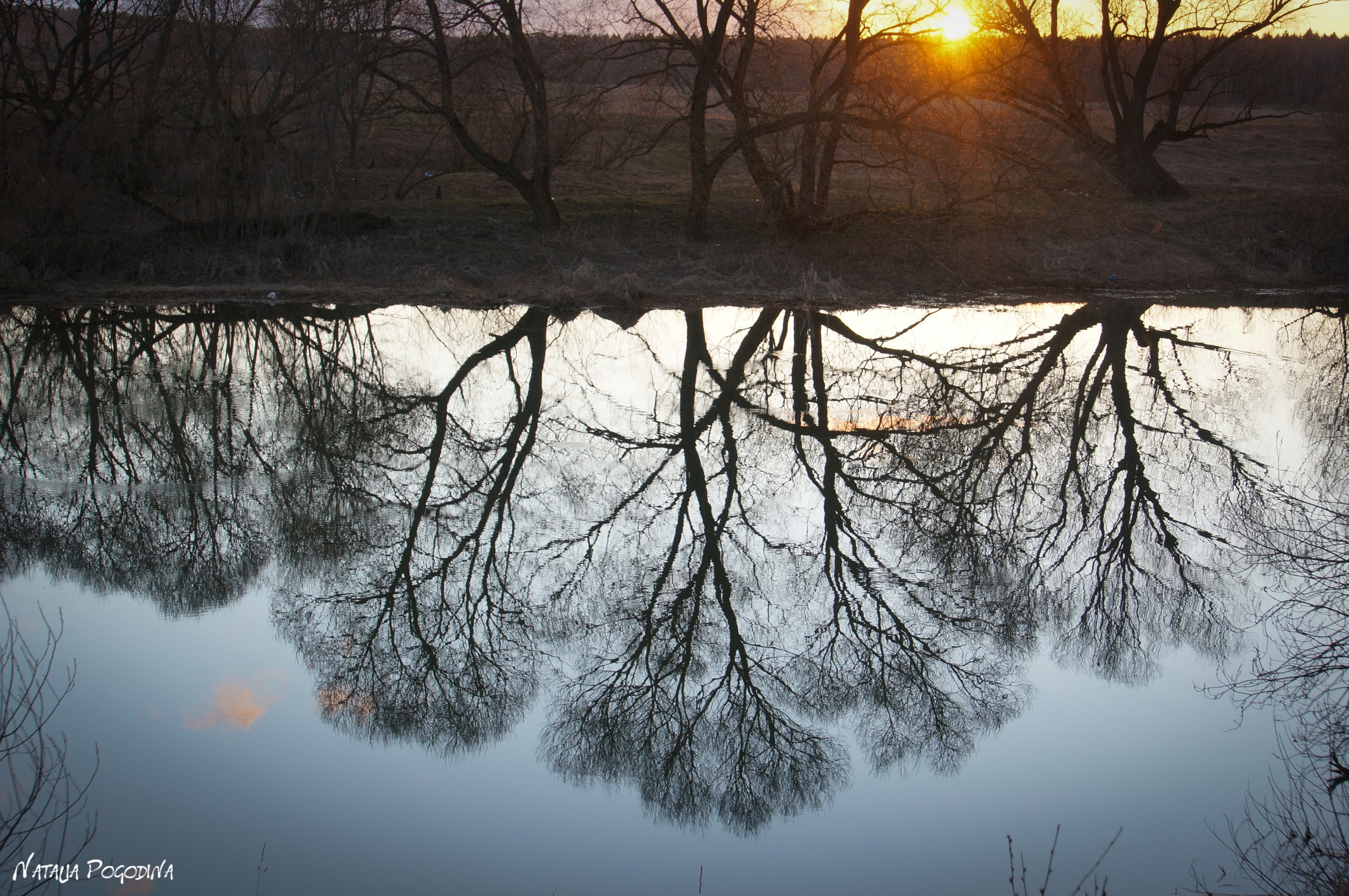 ОБНИНСК. Фотограф Наталья Погодина в г. Обнинске