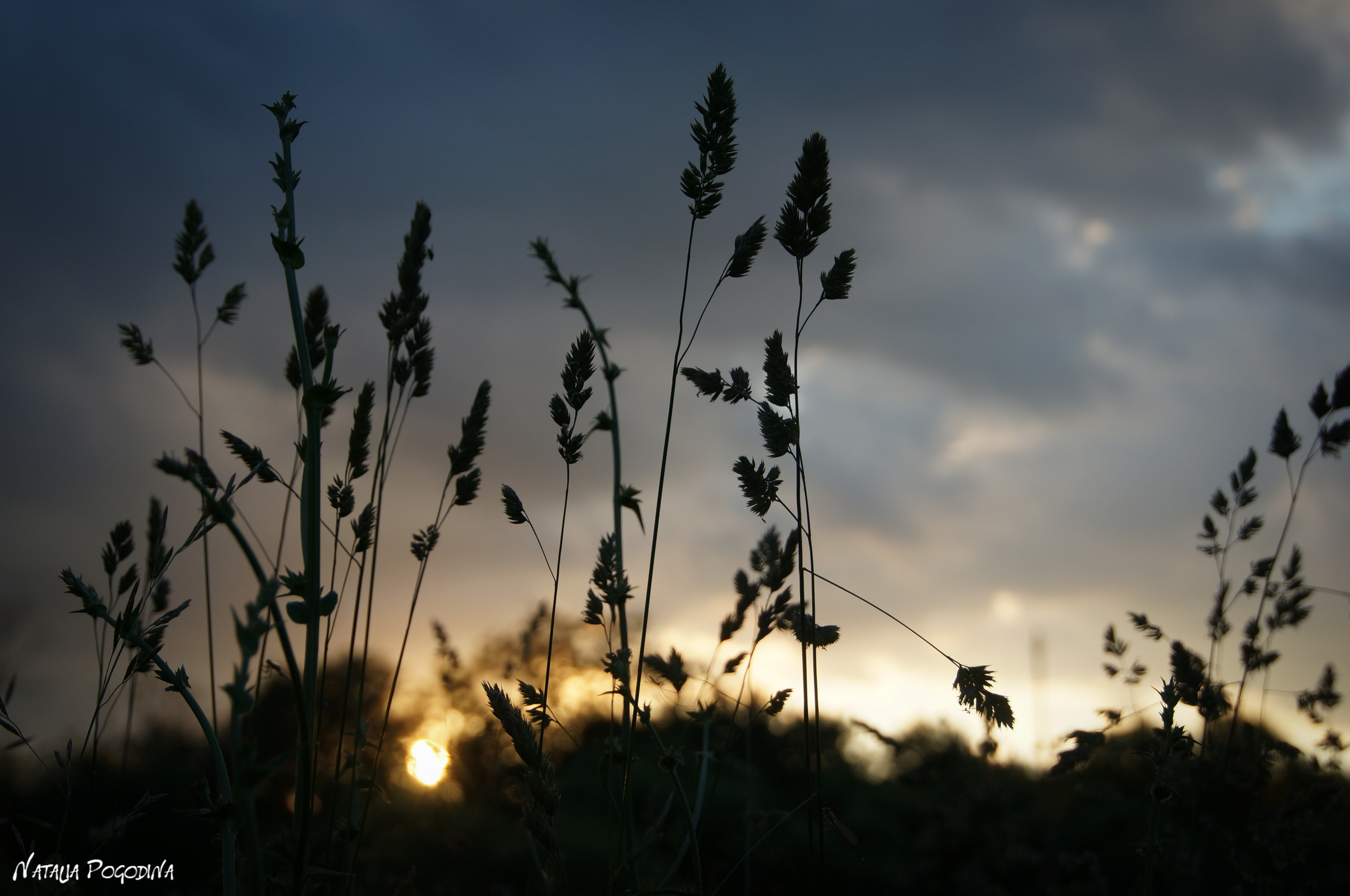 ОБНИНСК. Фотограф Наталья Погодина в г. Обнинске