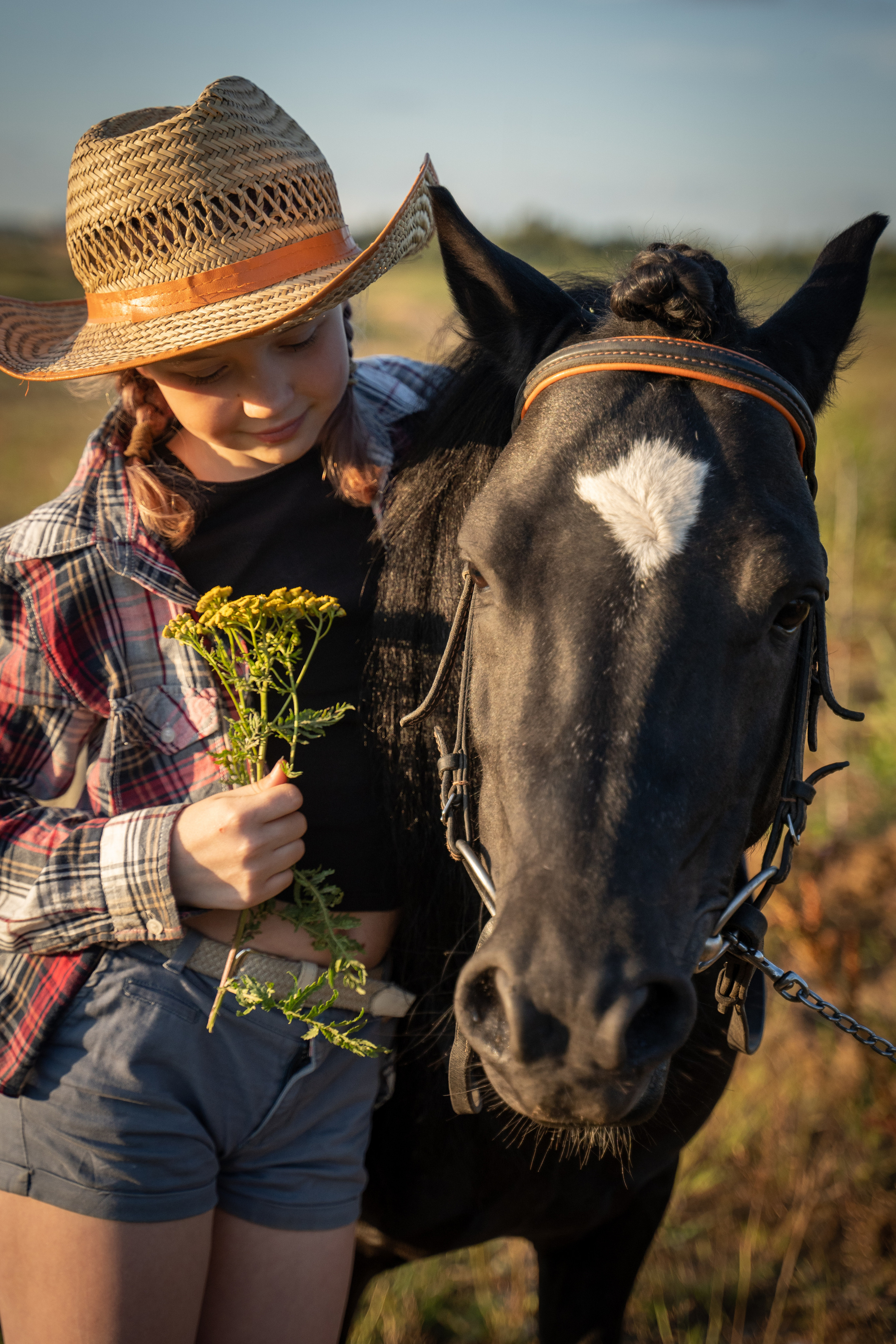 Фотосъемка с лошадью. Анималист фотограф. Фотосессия с лошадью на закате