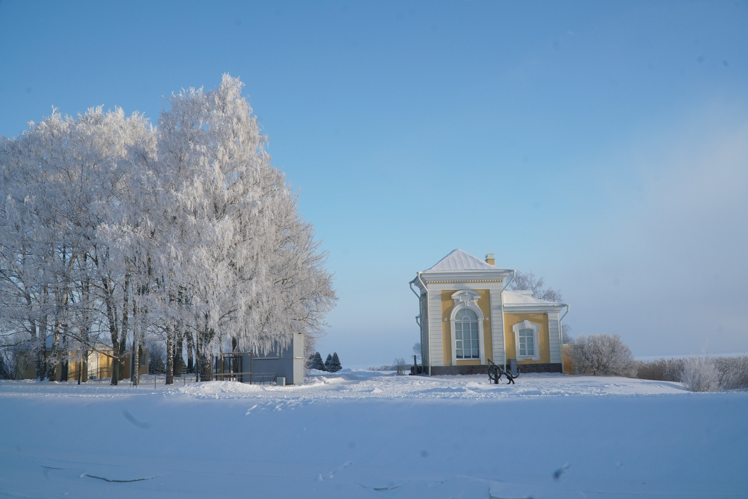ПЕТЕРГОФ. Январь 2022. Фотограф Наталья Погодина в г. Обнинске