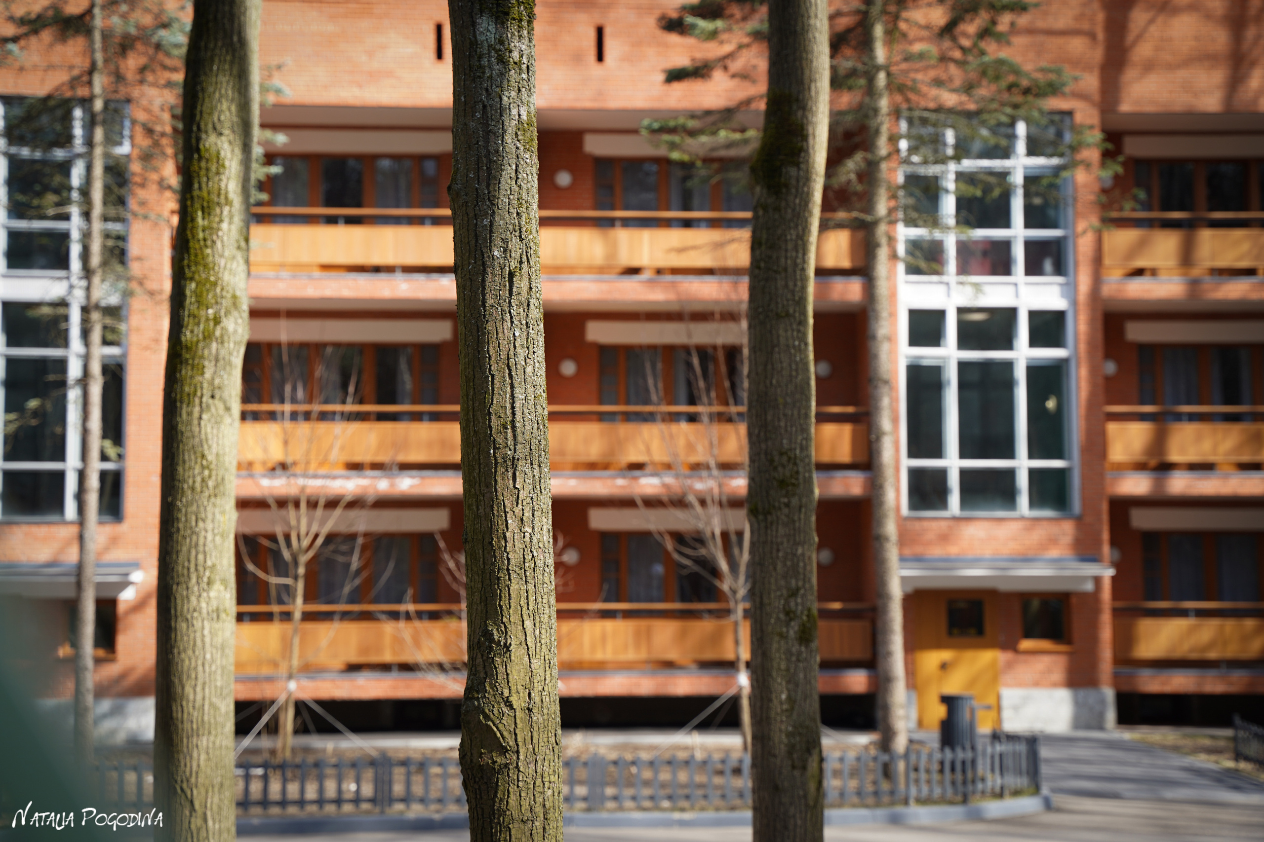 Фотопрогулка в Переделкино. Фотограф Наталья Погодина в г. Обнинске