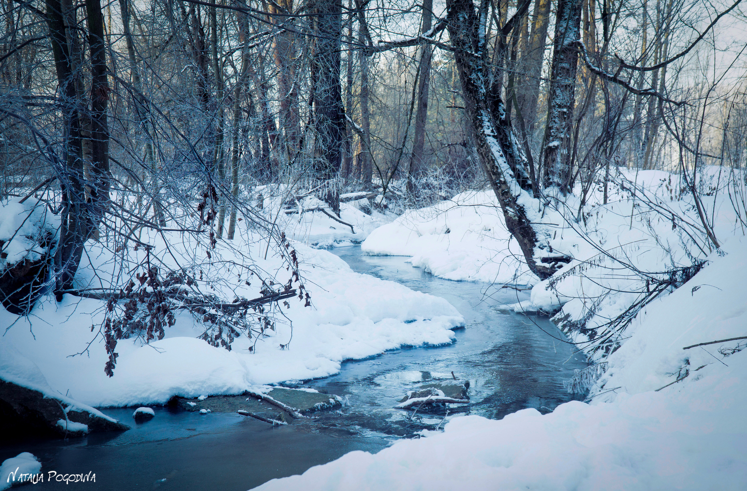 ОБНИНСК. Фотограф Наталья Погодина в г. Обнинске