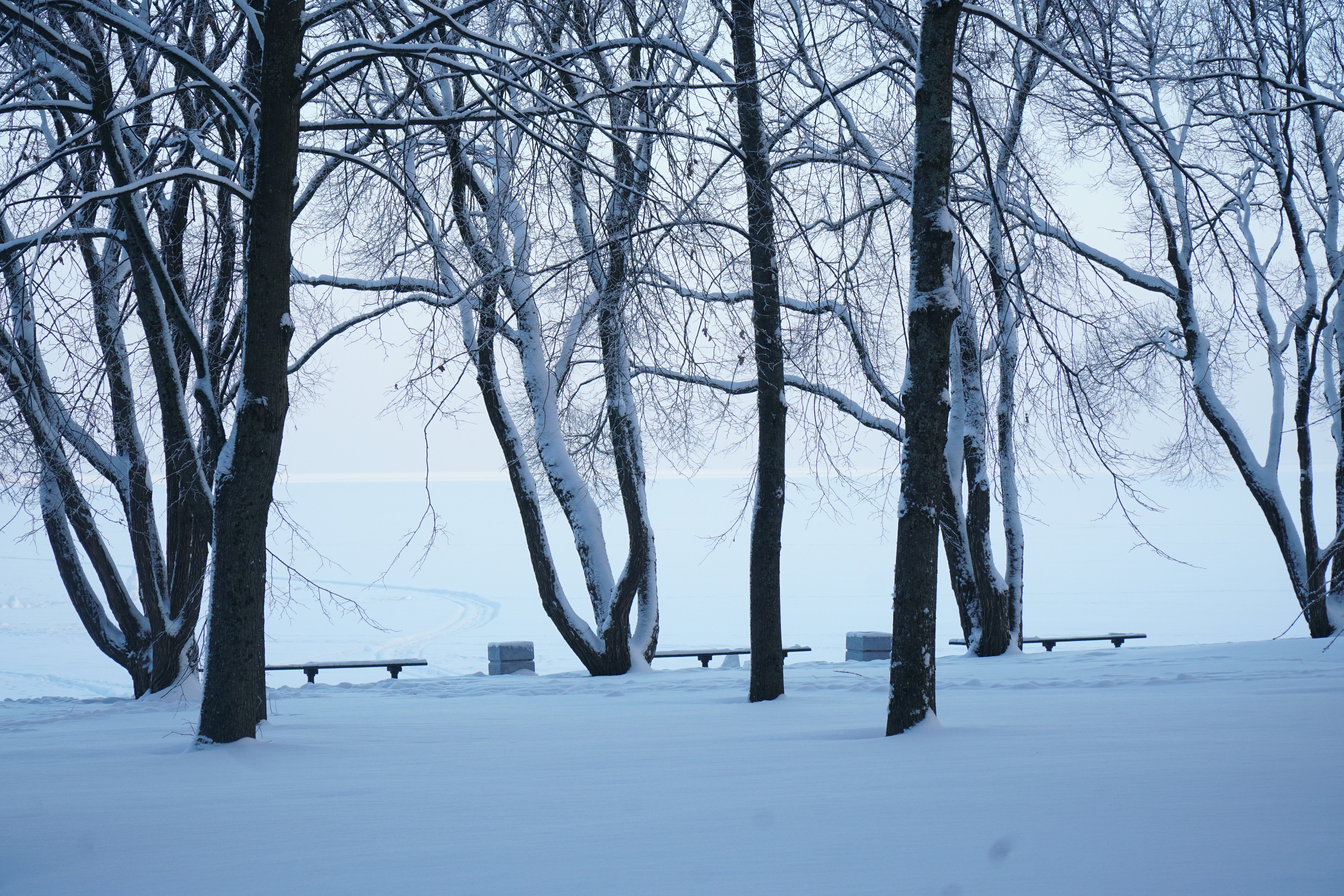 ПЕТЕРГОФ. Январь 2022. Фотограф Наталья Погодина в г. Обнинске