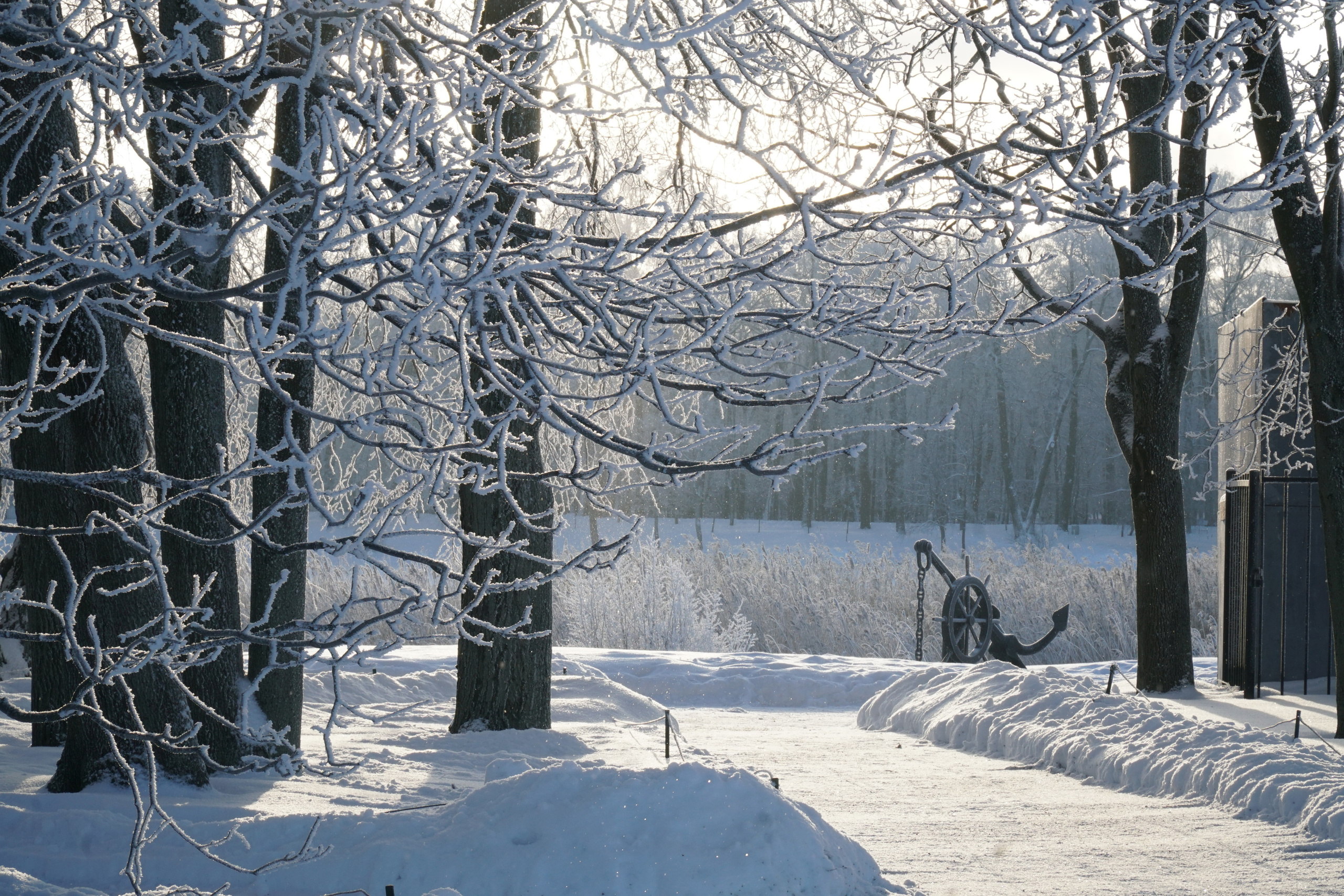 ПЕТЕРГОФ. Январь 2022. Фотограф Наталья Погодина в г. Обнинске