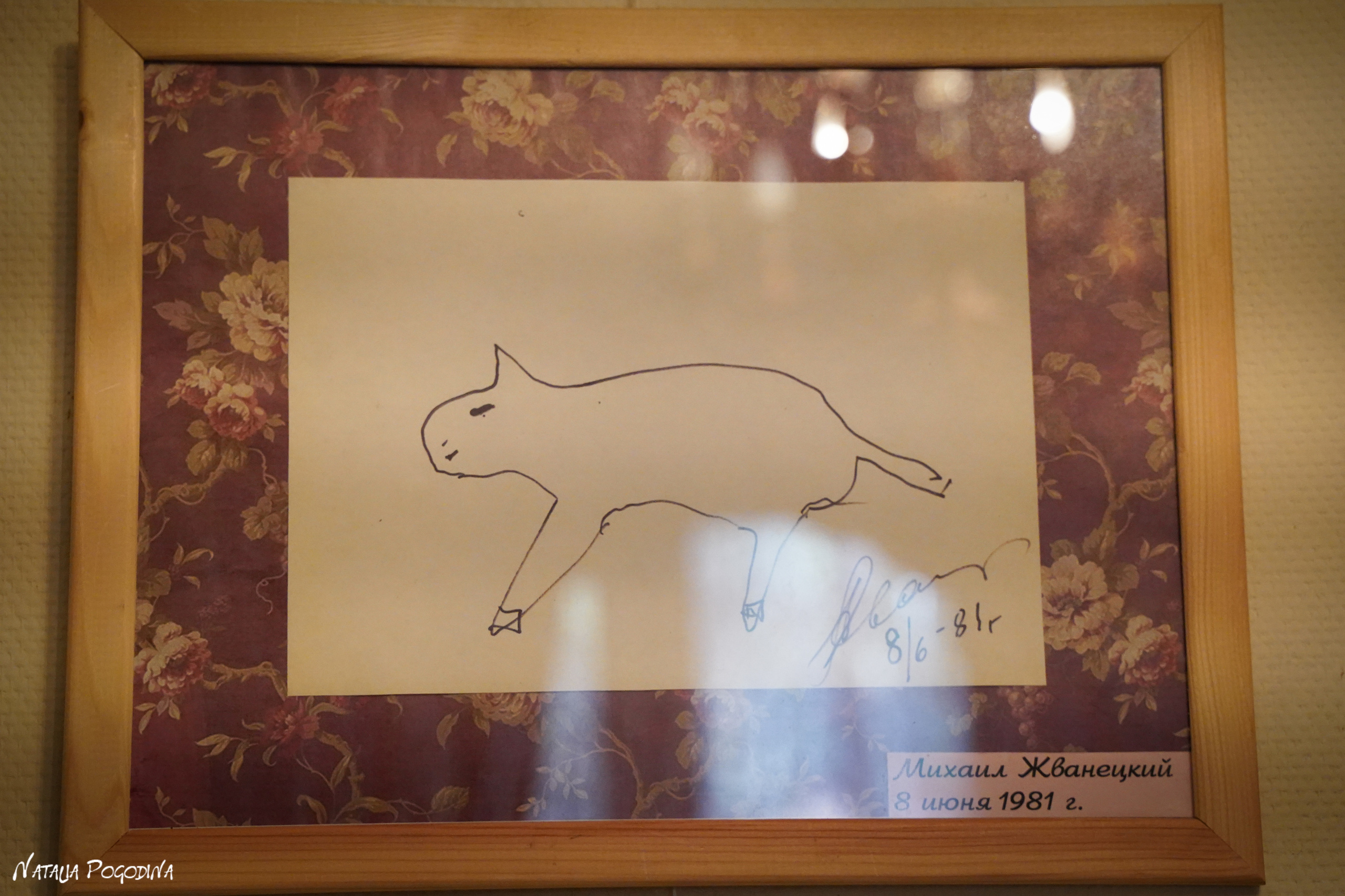 Фотопрогулка в Переделкино. Фотограф Наталья Погодина в г. Обнинске