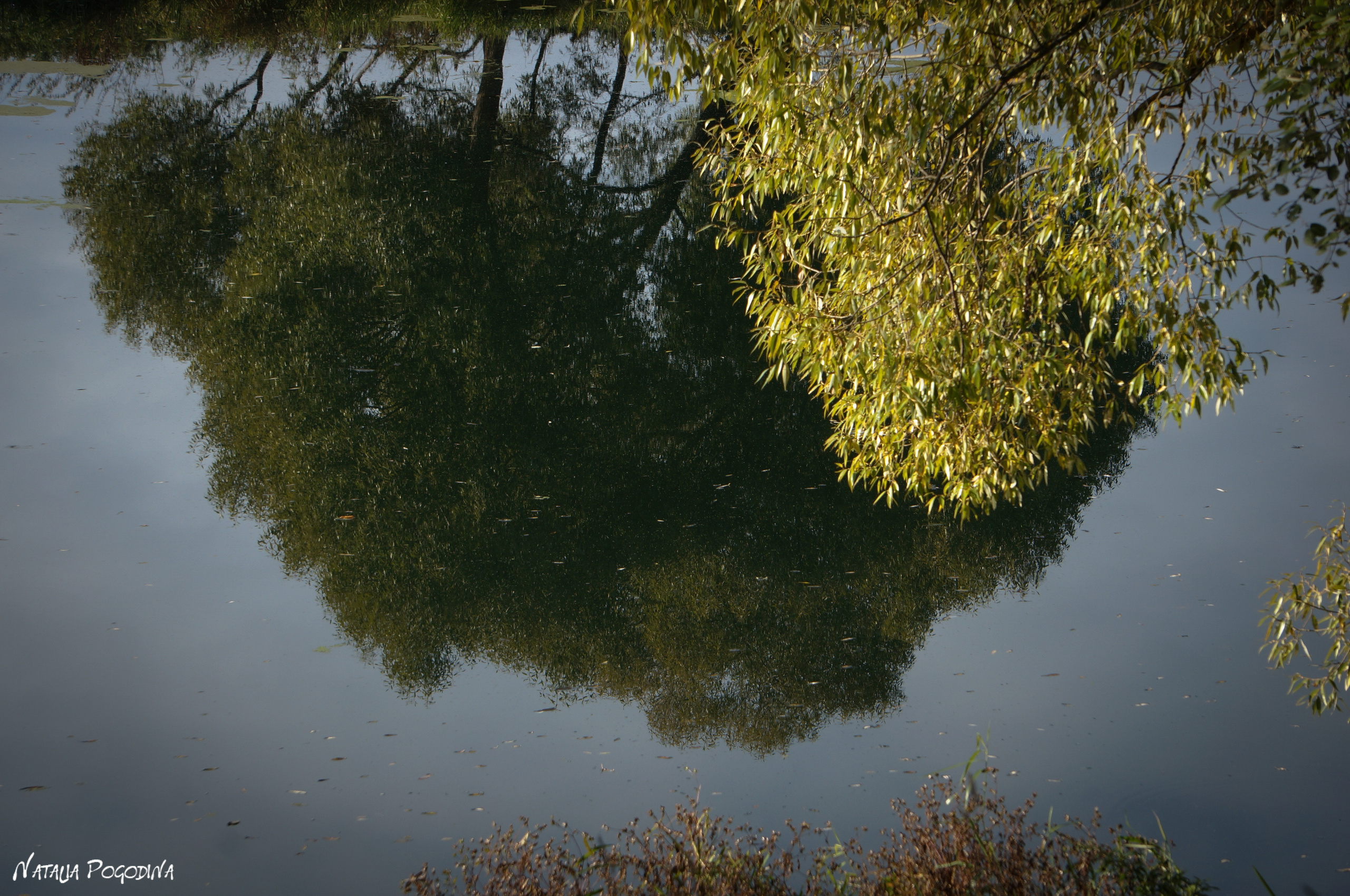 ОБНИНСК. Фотограф Наталья Погодина в г. Обнинске