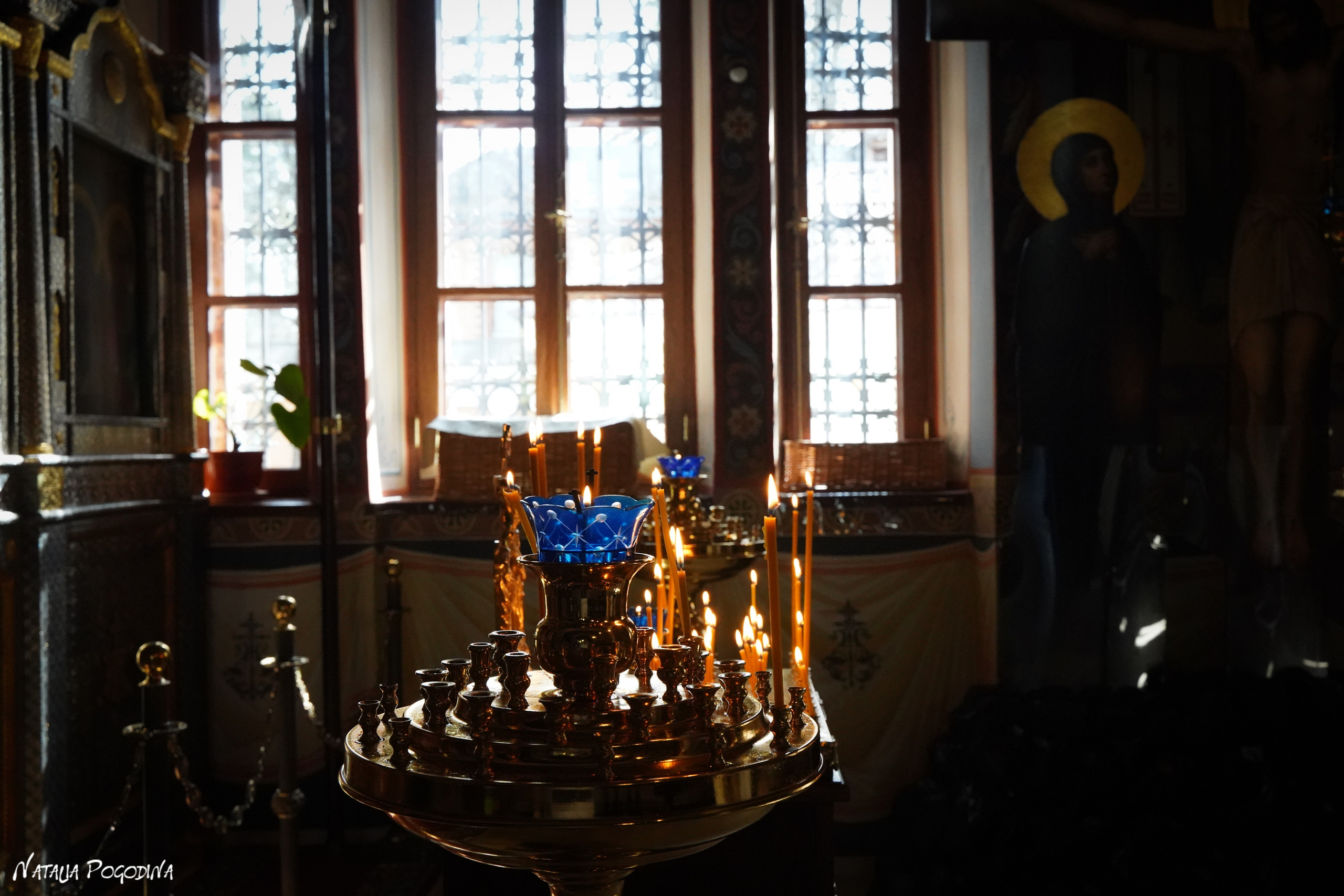 Фотопрогулка в Переделкино. Фотограф Наталья Погодина в г. Обнинске