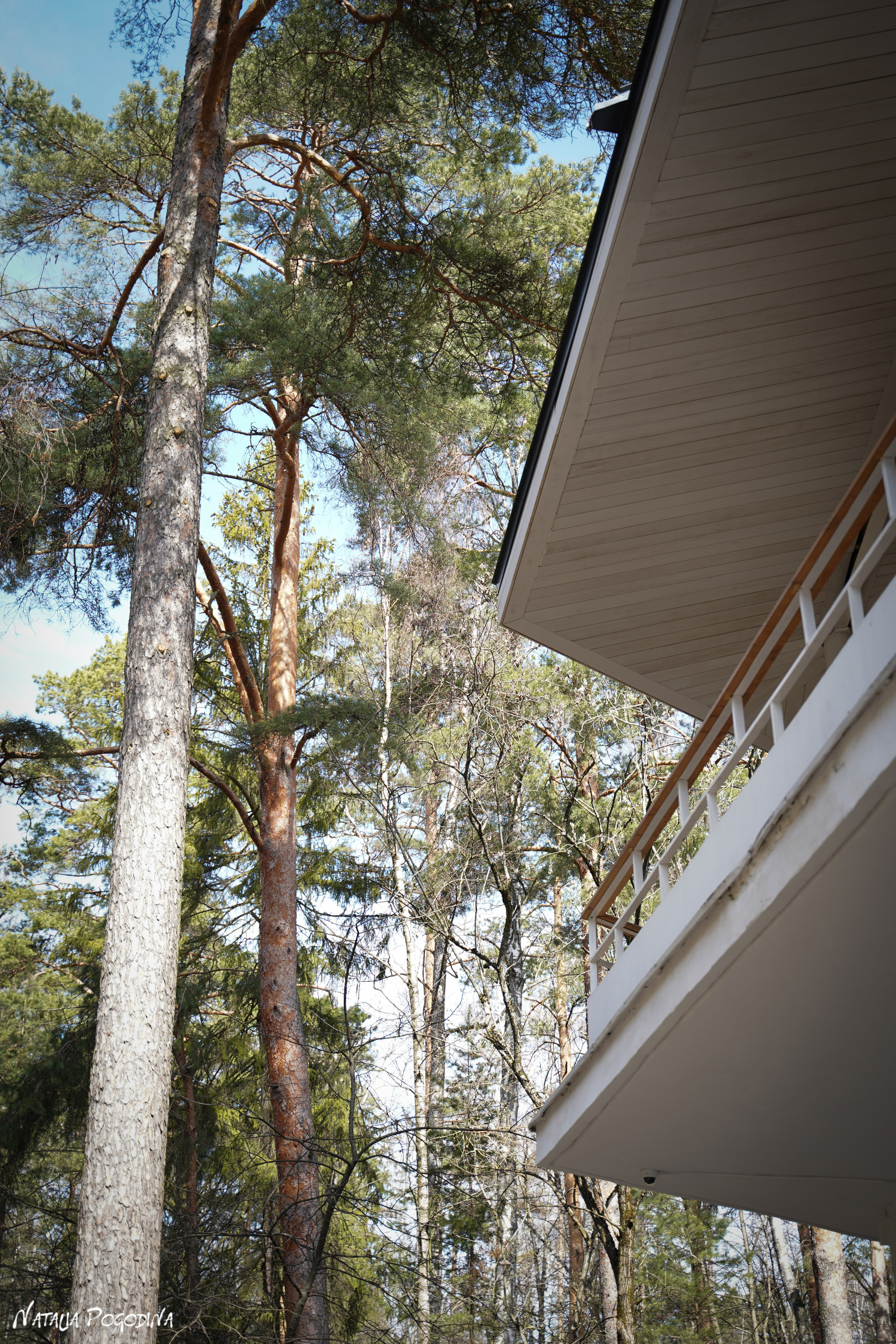 Фотопрогулка в Переделкино. Фотограф Наталья Погодина в г. Обнинске