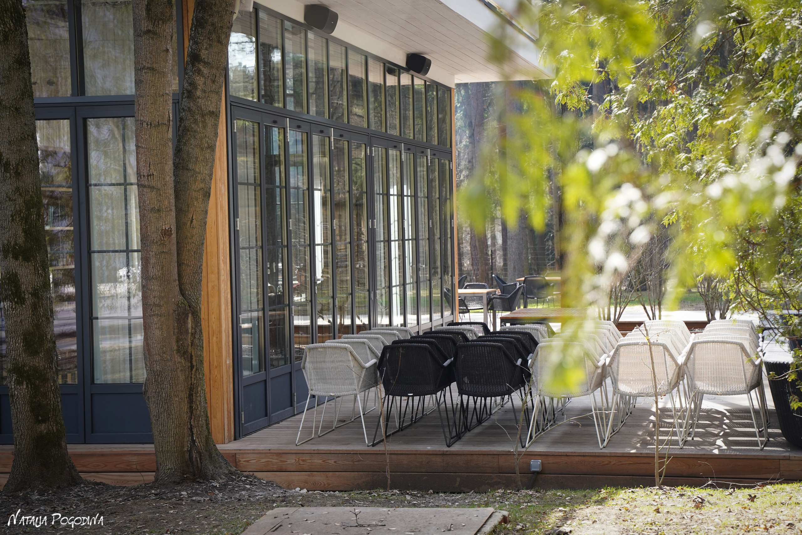 Фотопрогулка в Переделкино. Фотограф Наталья Погодина в г. Обнинске