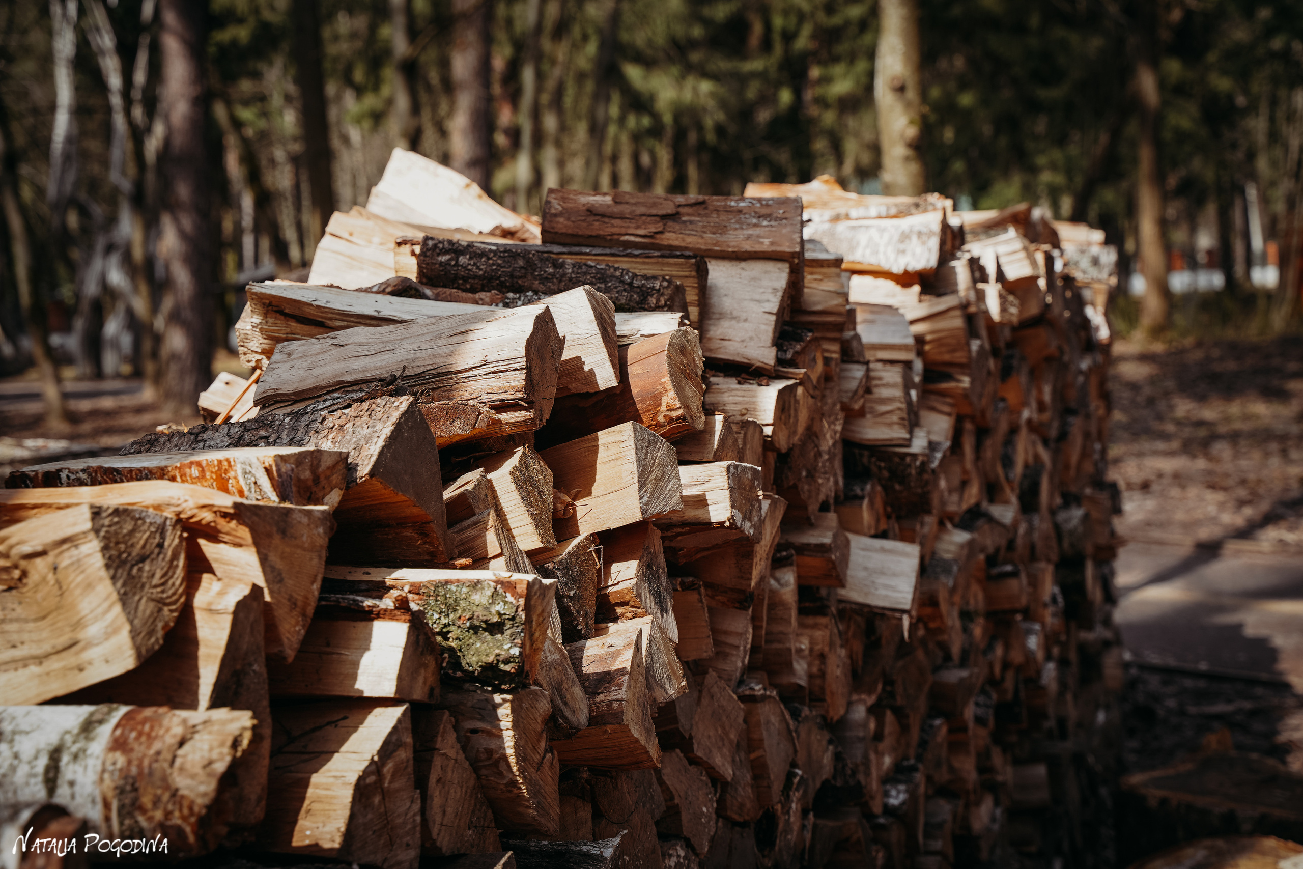 Фотопрогулка в Переделкино. Фотограф Наталья Погодина в г. Обнинске