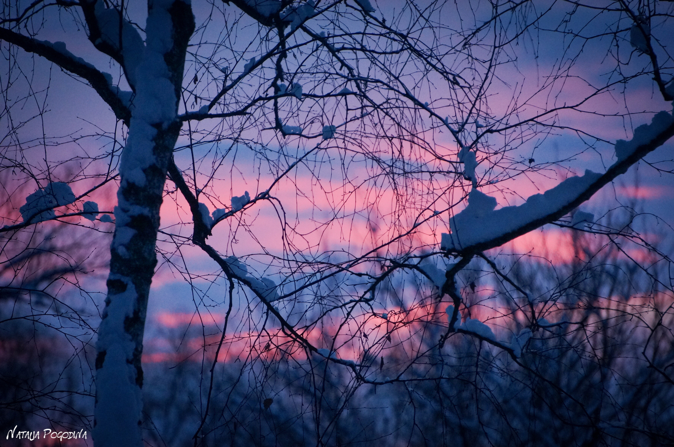 ОБНИНСК. Фотограф Наталья Погодина в г. Обнинске