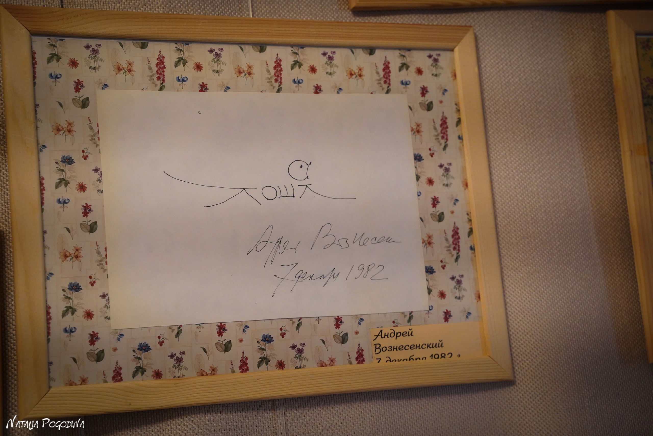 Фотопрогулка в Переделкино. Фотограф Наталья Погодина в г. Обнинске