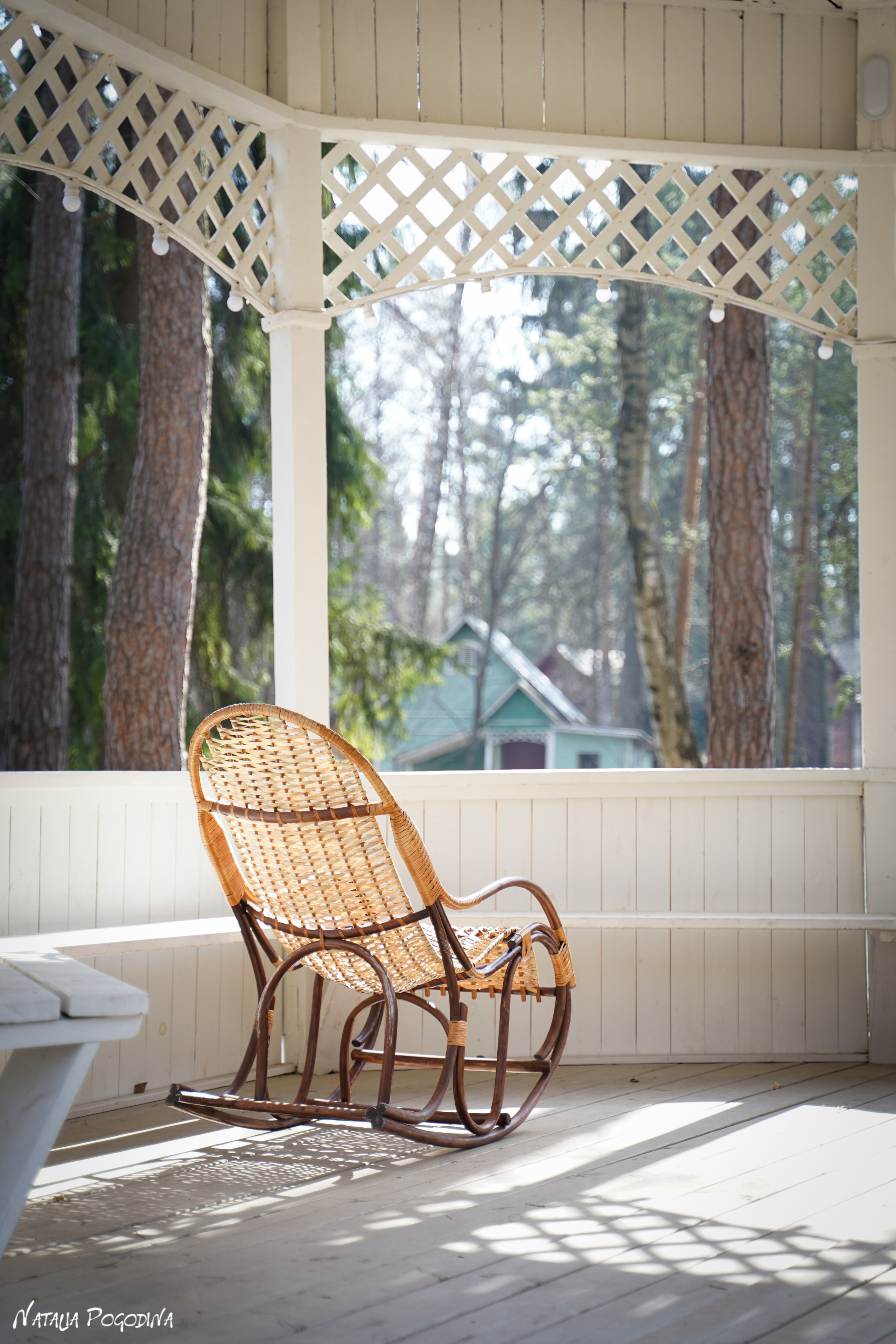 Фотопрогулка в Переделкино. Фотограф Наталья Погодина в г. Обнинске