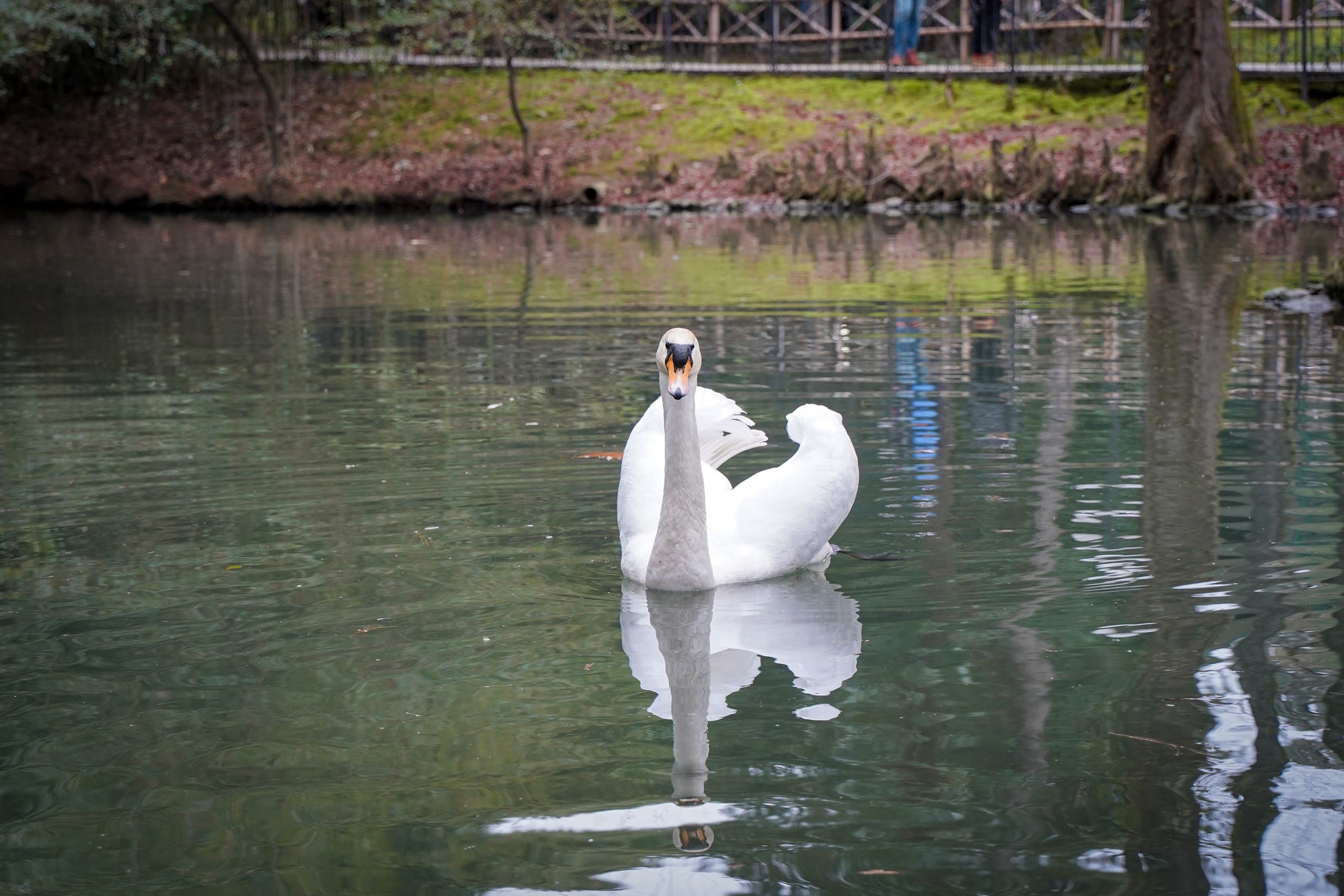 Фото Сочи 2023. Фотограф Наталья Погодина в г. Обнинске