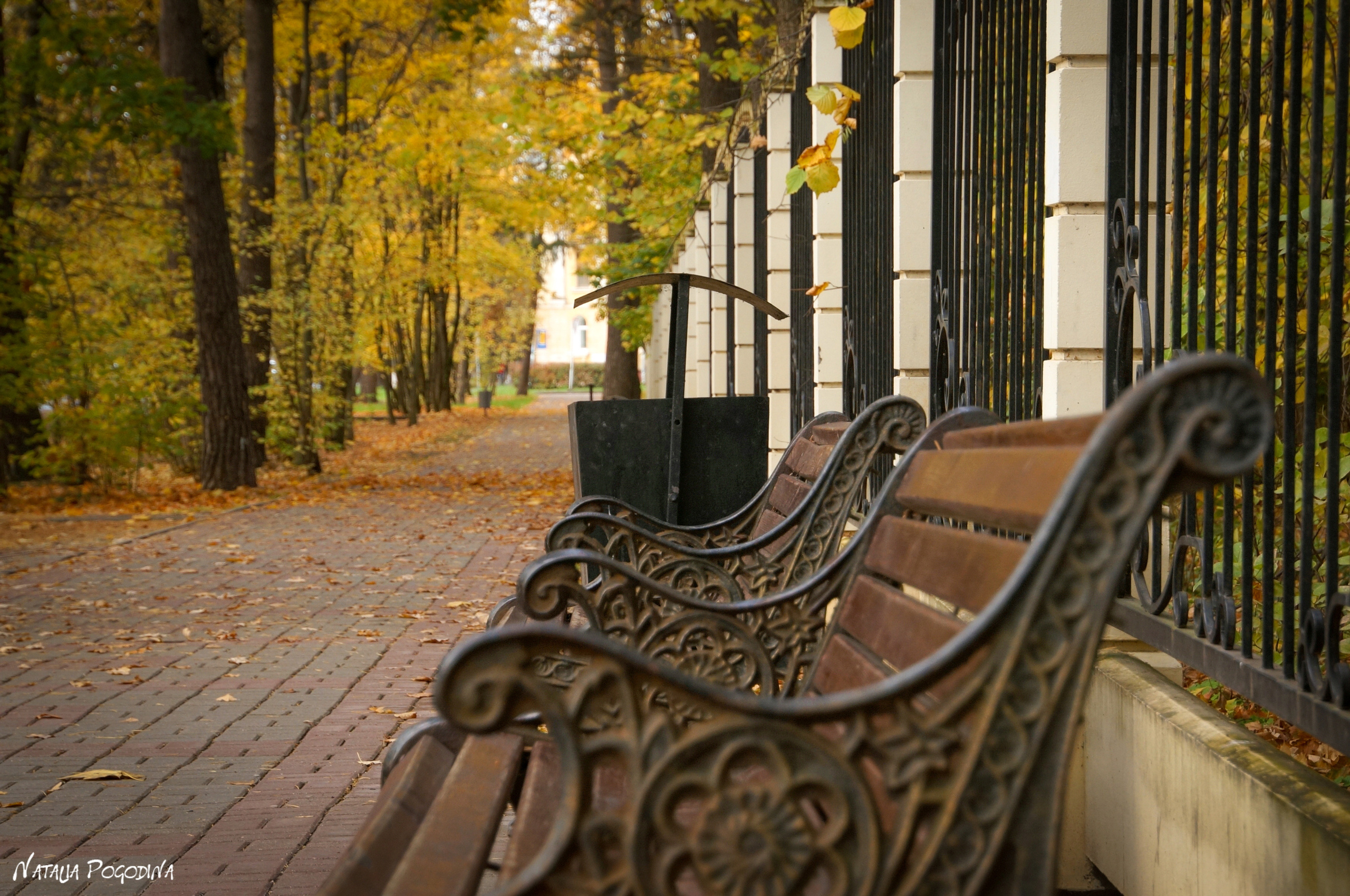 ОБНИНСК. Фотограф Наталья Погодина в г. Обнинске
