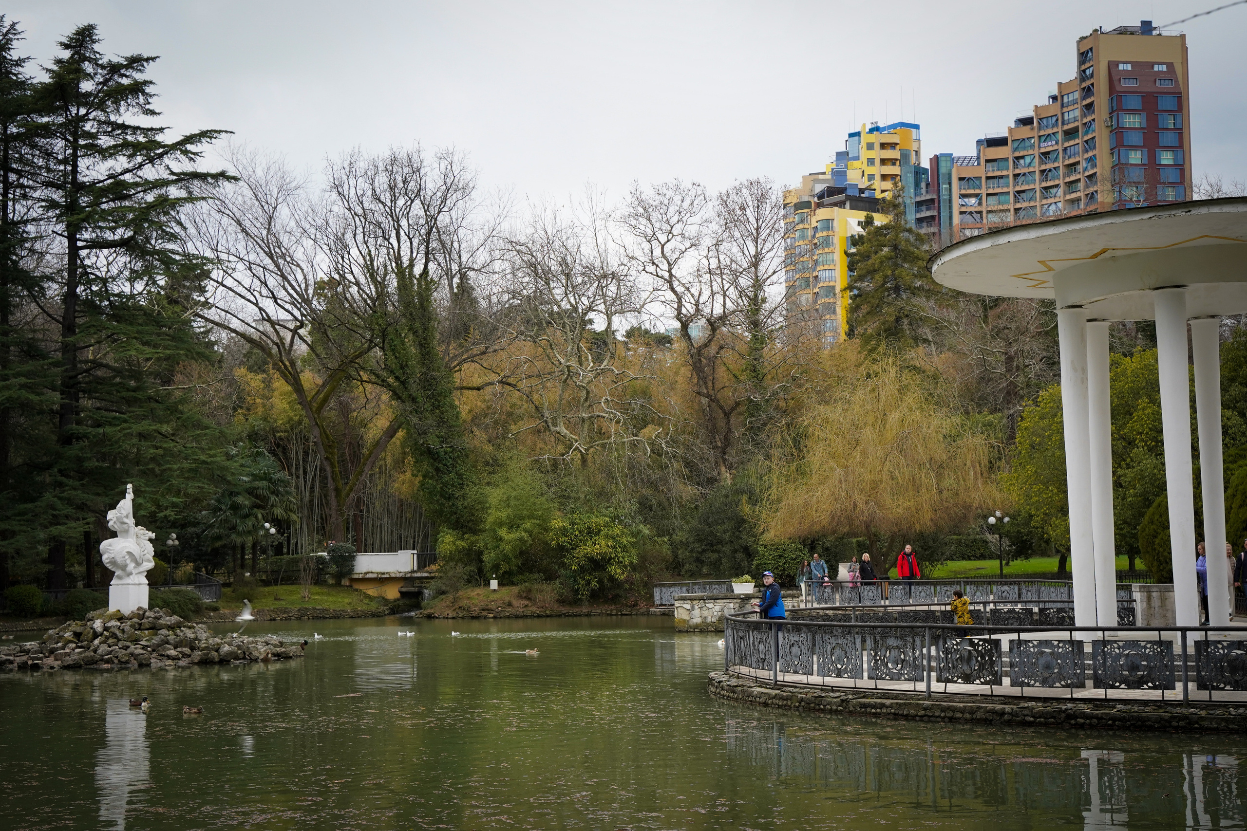 Фото Сочи 2023. Фотограф Наталья Погодина в г. Обнинске
