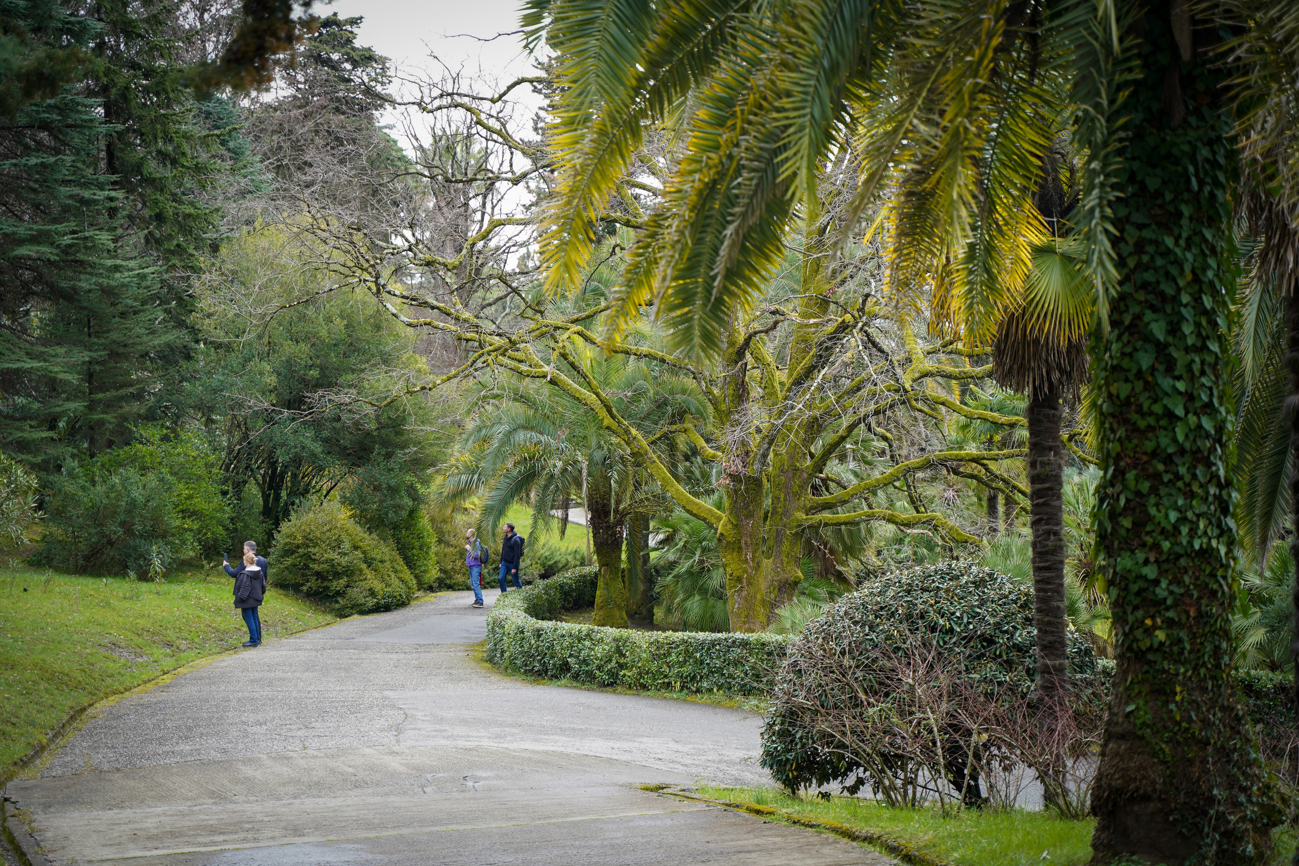 Фото Сочи 2023. Фотограф Наталья Погодина в г. Обнинске