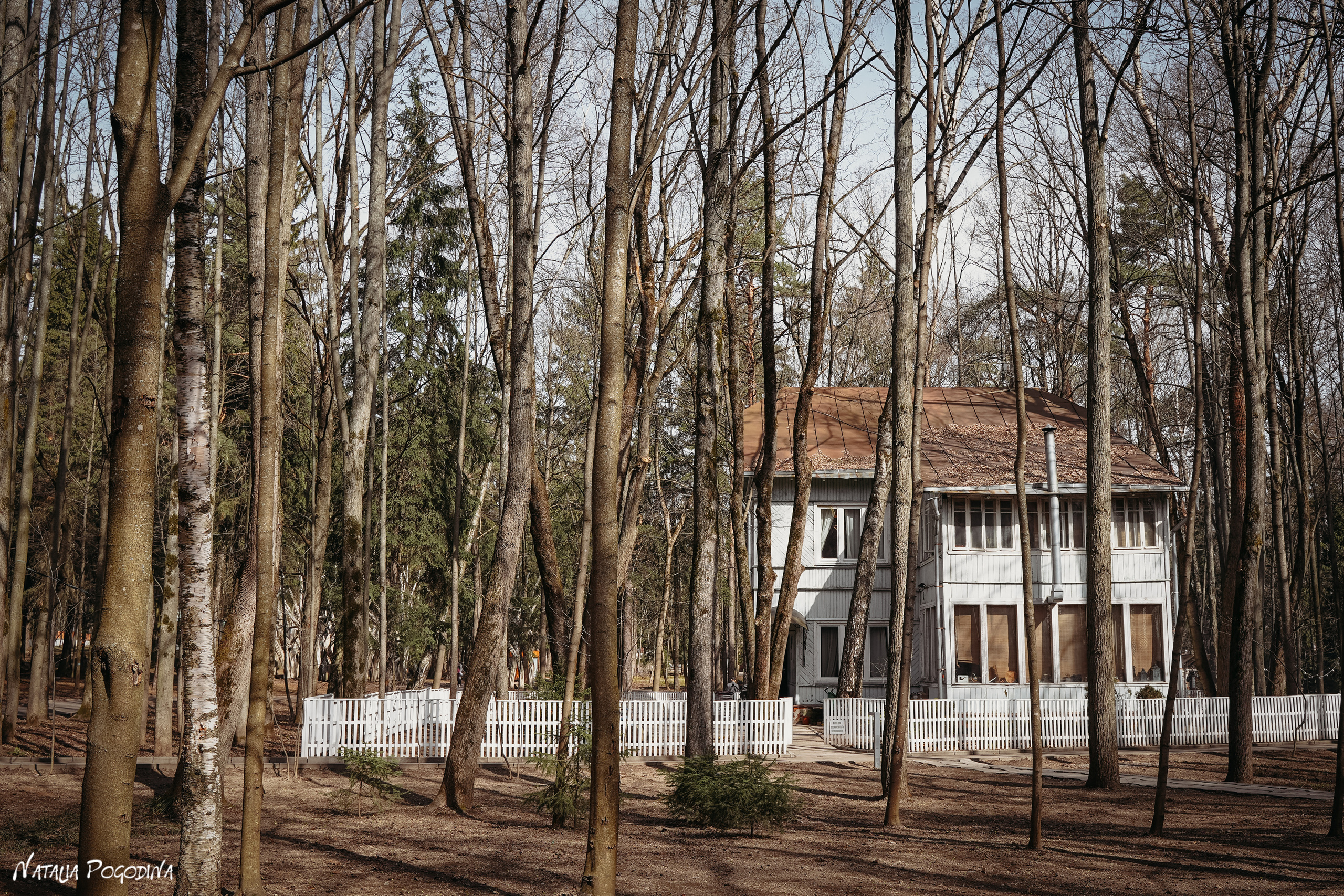 Фотопрогулка в Переделкино. Фотограф Наталья Погодина в г. Обнинске