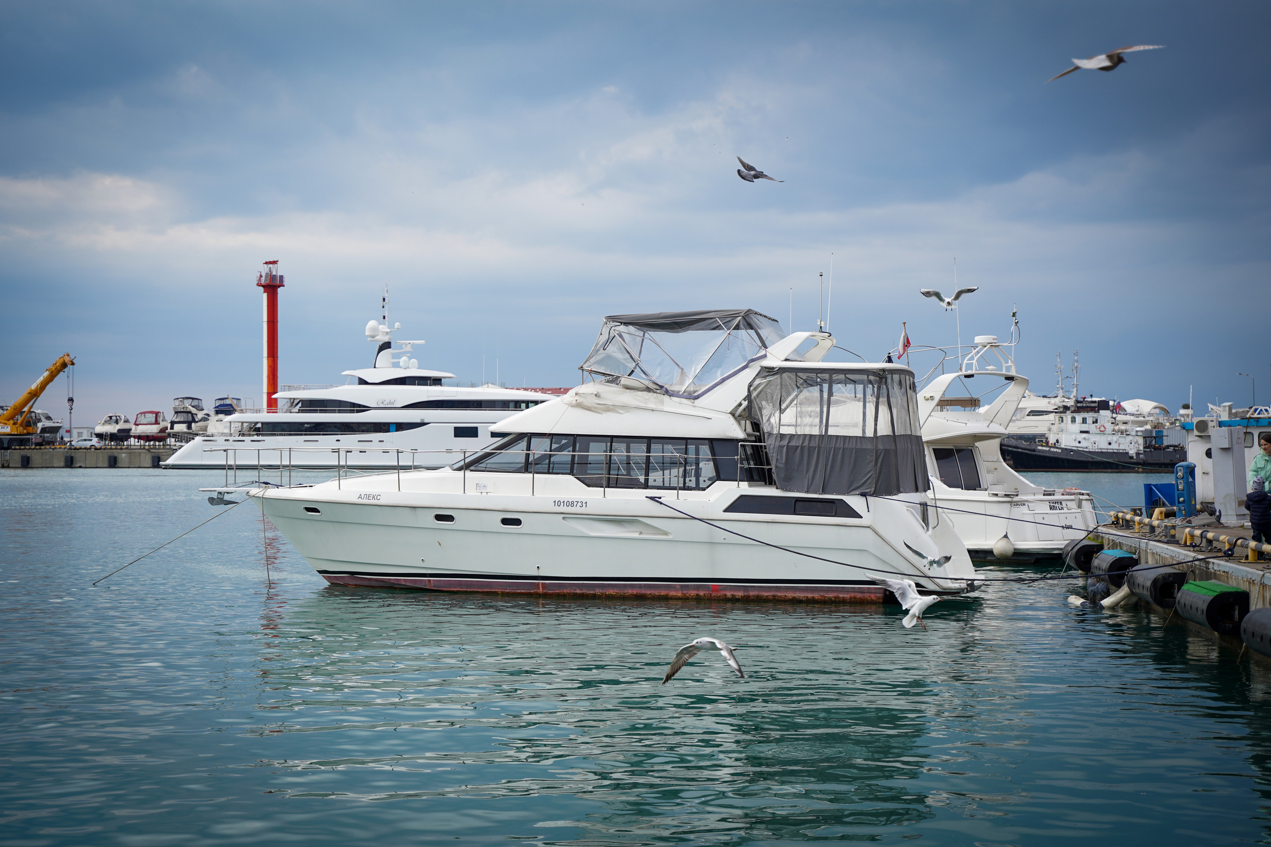 Фото Сочи 2023. Фотограф Наталья Погодина в г. Обнинске