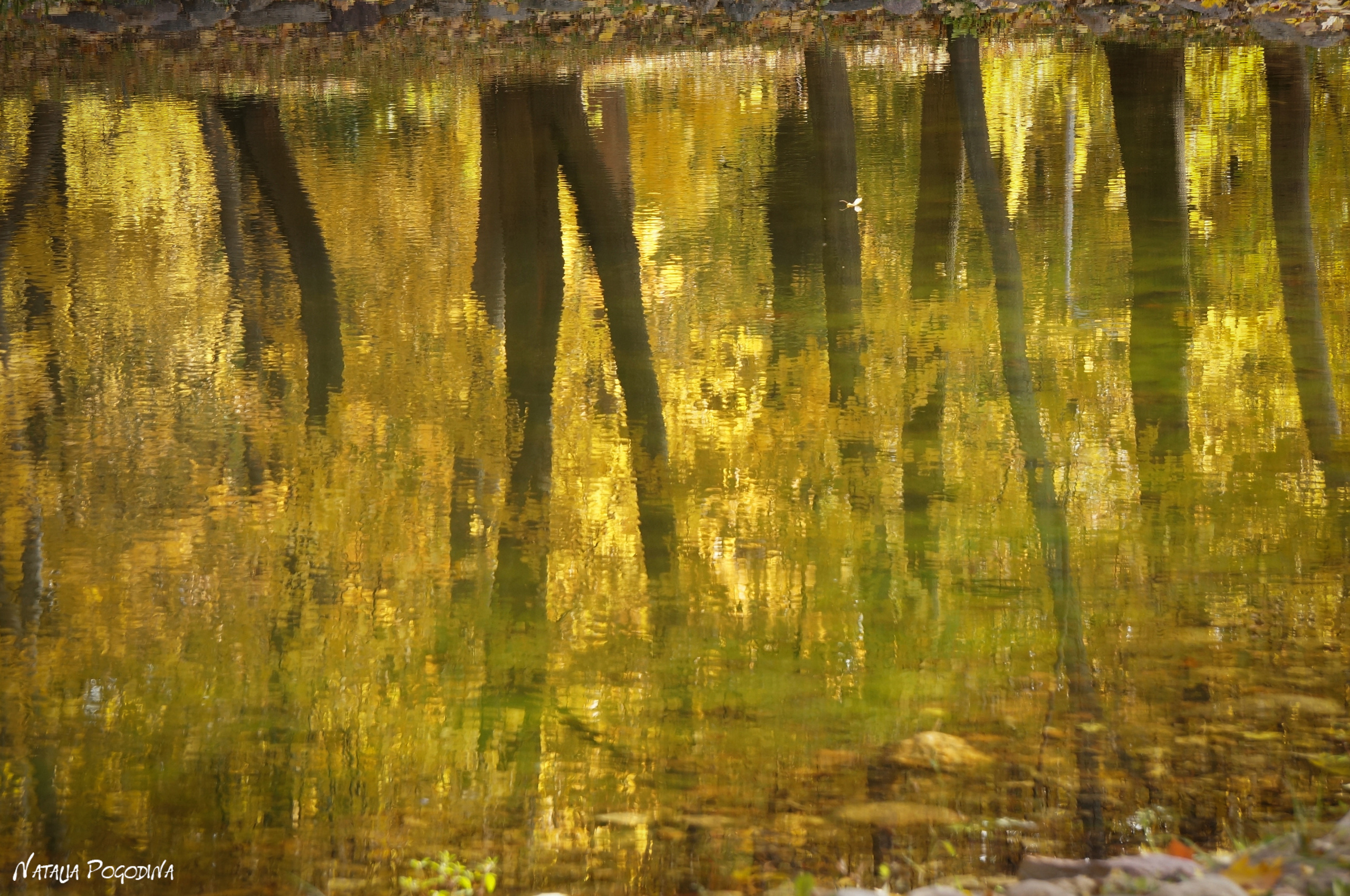 ОБНИНСК. Фотограф Наталья Погодина в г. Обнинске