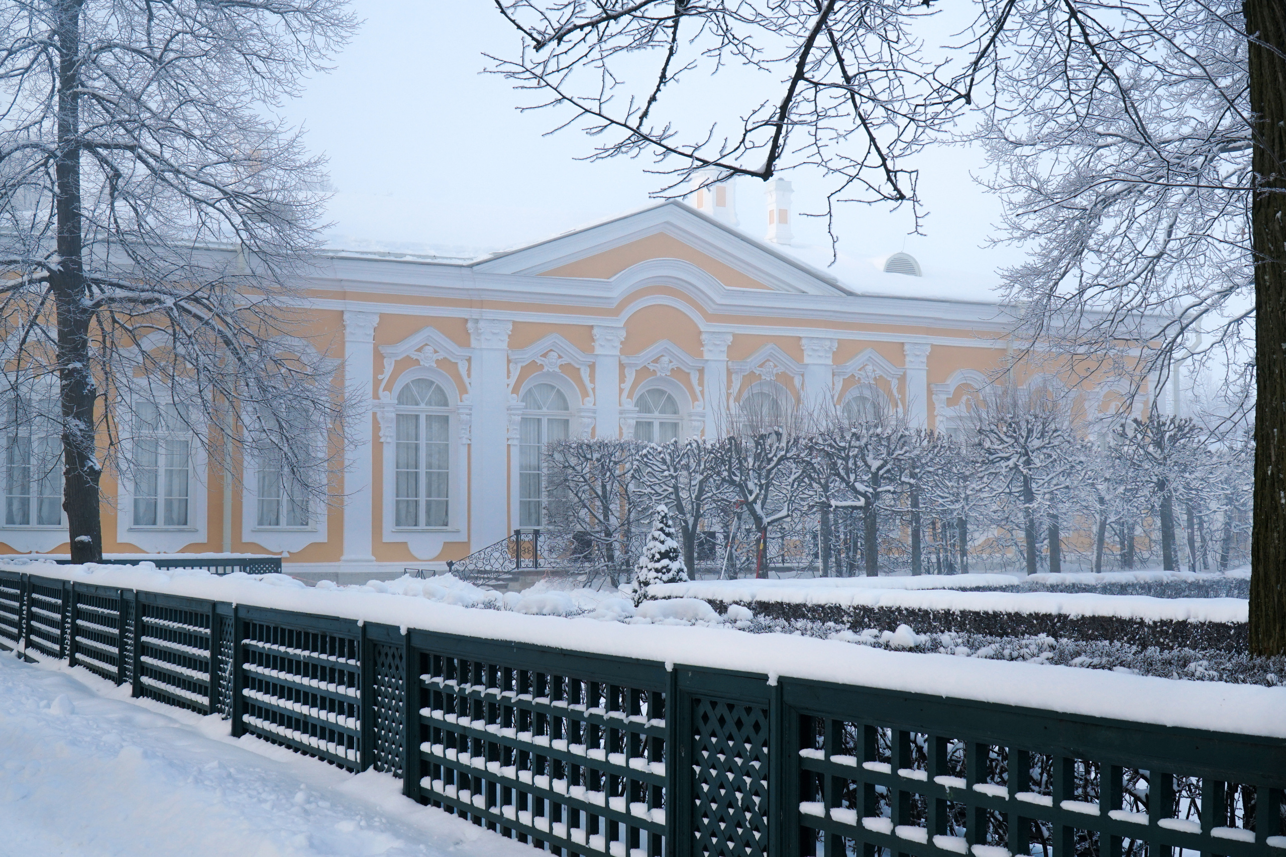 ПЕТЕРГОФ. Январь 2022. Фотограф Наталья Погодина в г. Обнинске