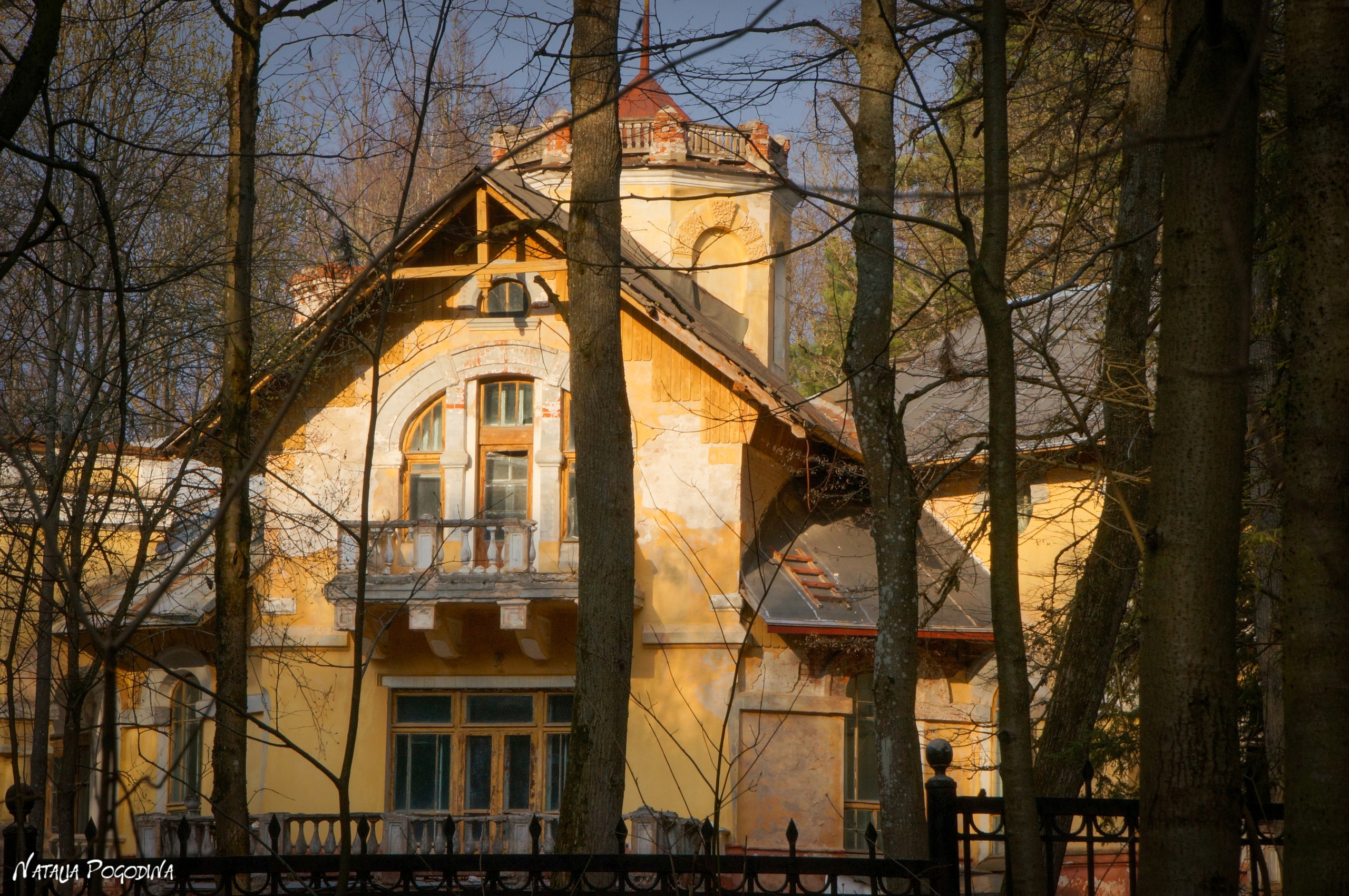 ОБНИНСК. Фотограф Наталья Погодина в г. Обнинске