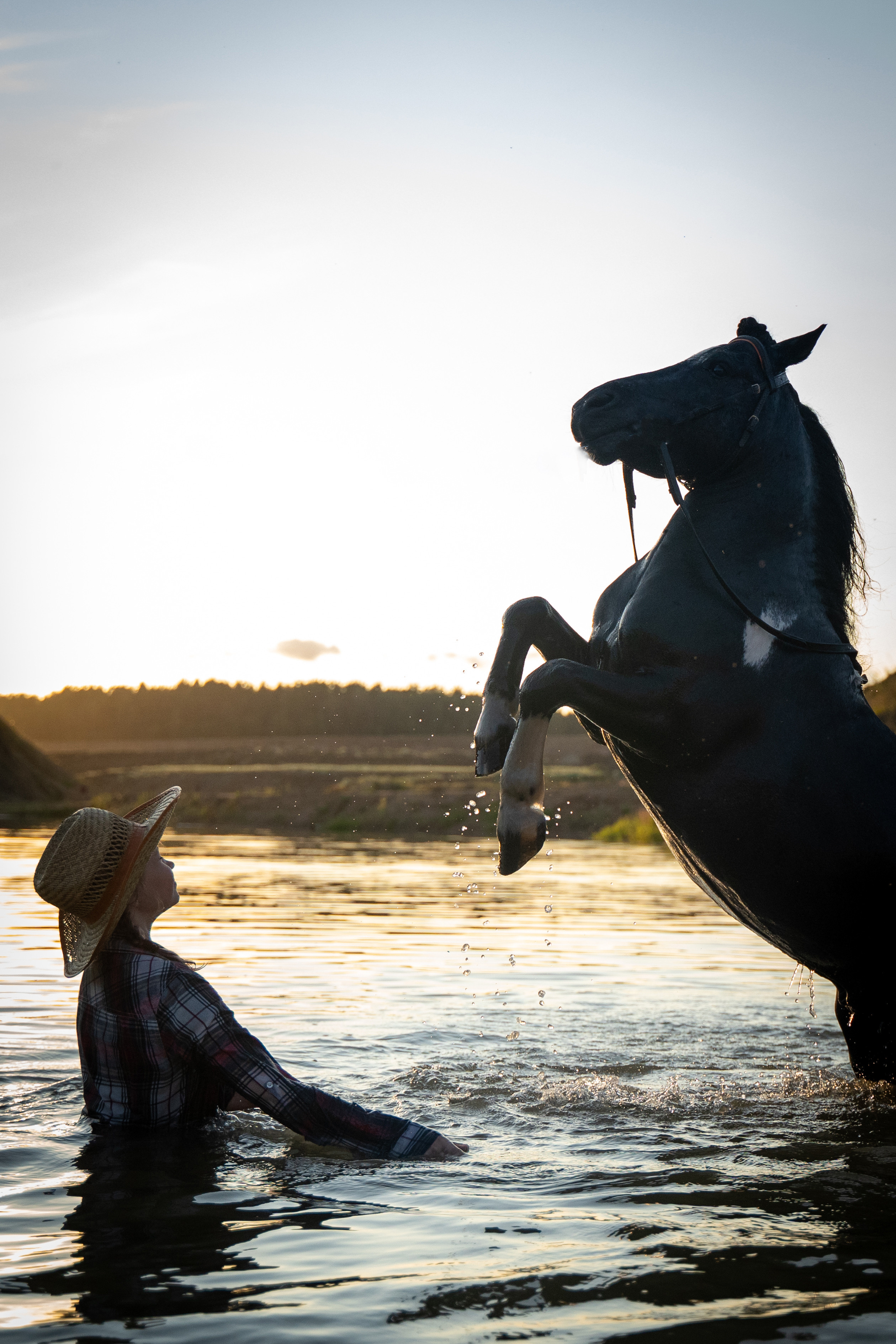 Фотосъемка с лошадью. Анималист фотограф. Фотосессия с лошадью на закате