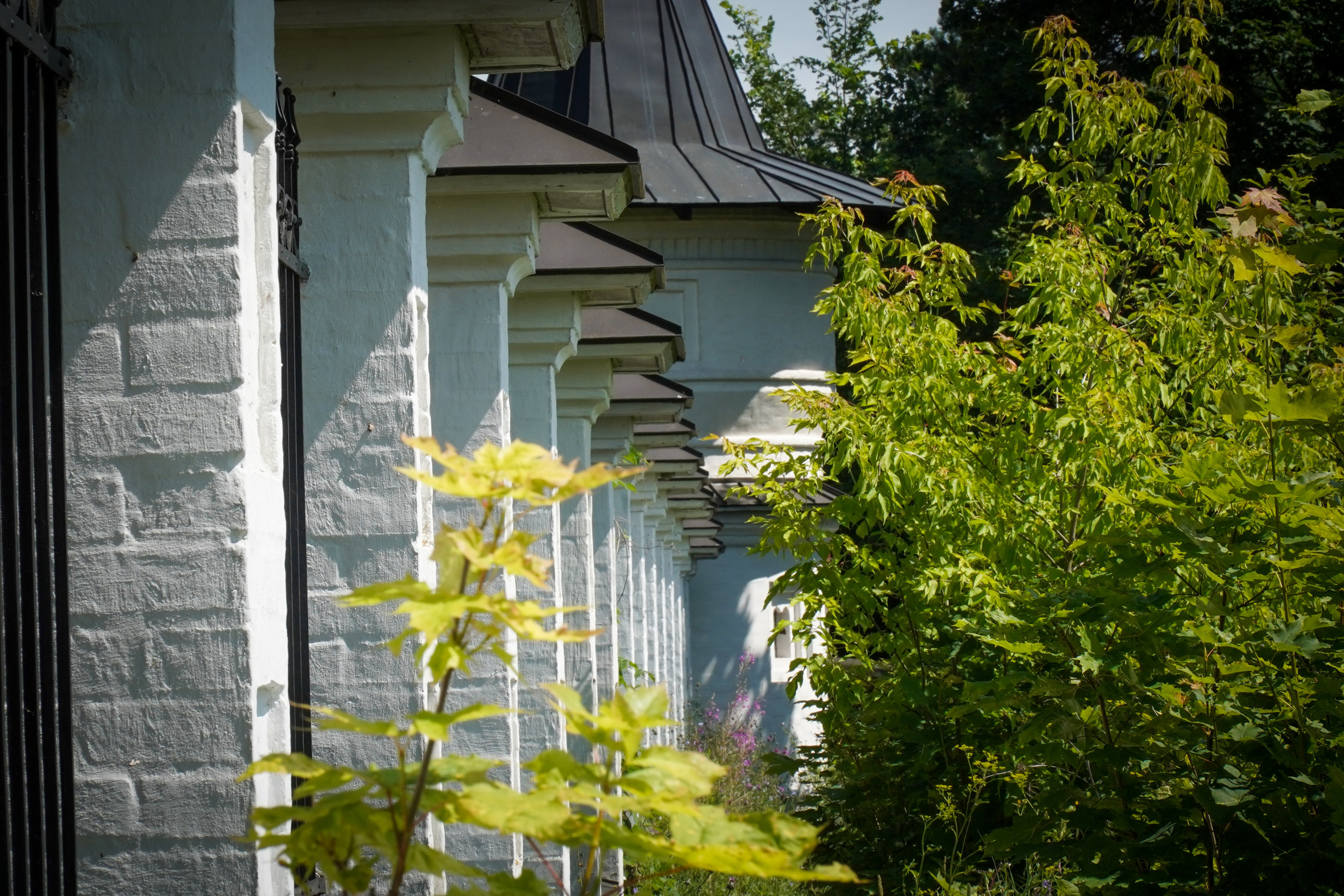 ВЕРЕЯ. Июль 2023. Фотограф Наталья Погодина в г. Обнинске