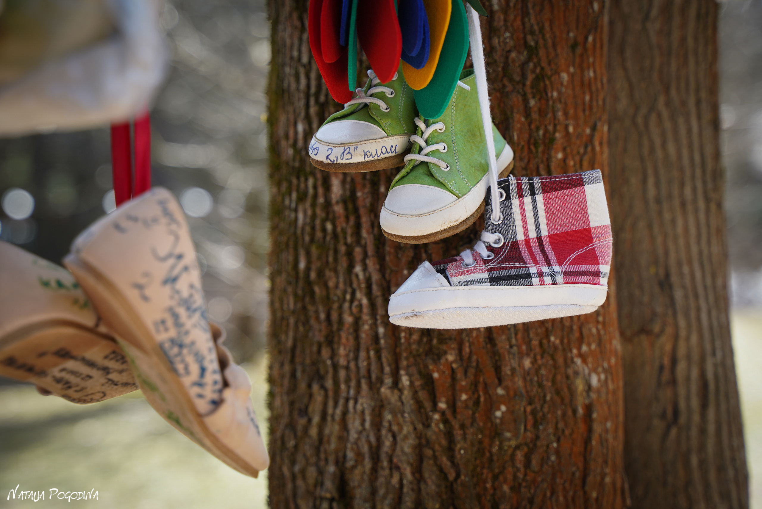 Фотопрогулка в Переделкино. Фотограф Наталья Погодина в г. Обнинске