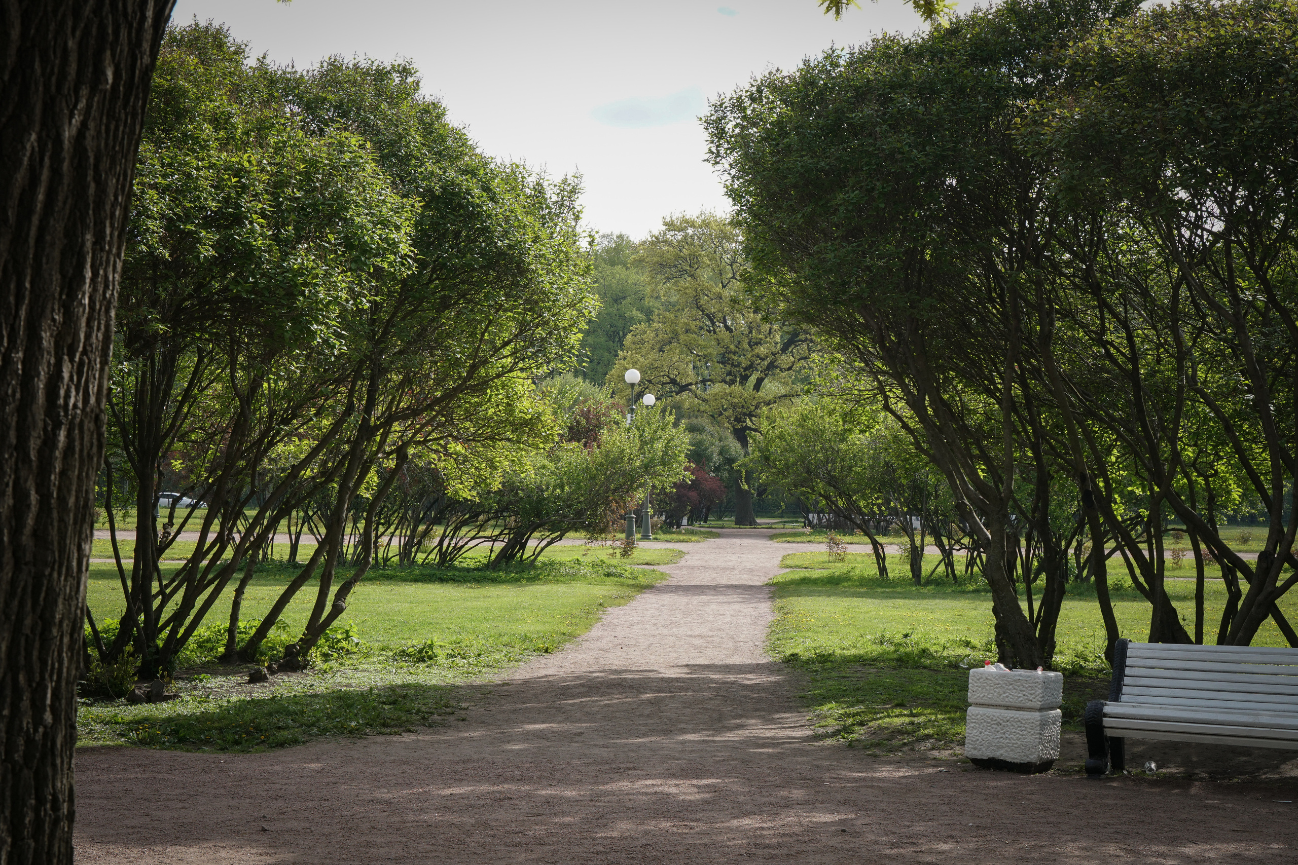САНКТ-ПЕТЕРБУРГ. Май 2022. Фотограф Наталья Погодина в г. Обнинске