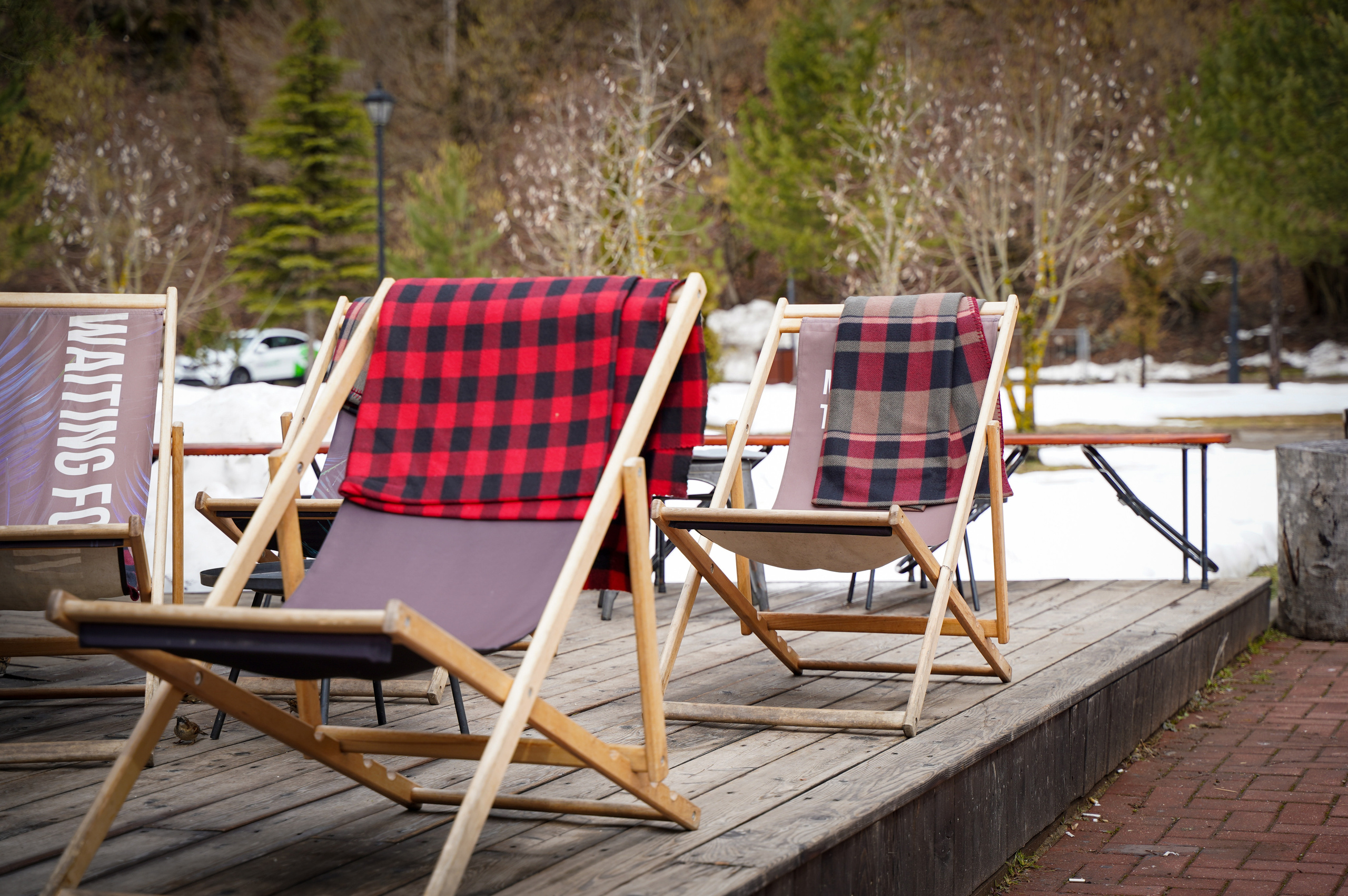 Фото Сочи 2023. Фотограф Наталья Погодина в г. Обнинске