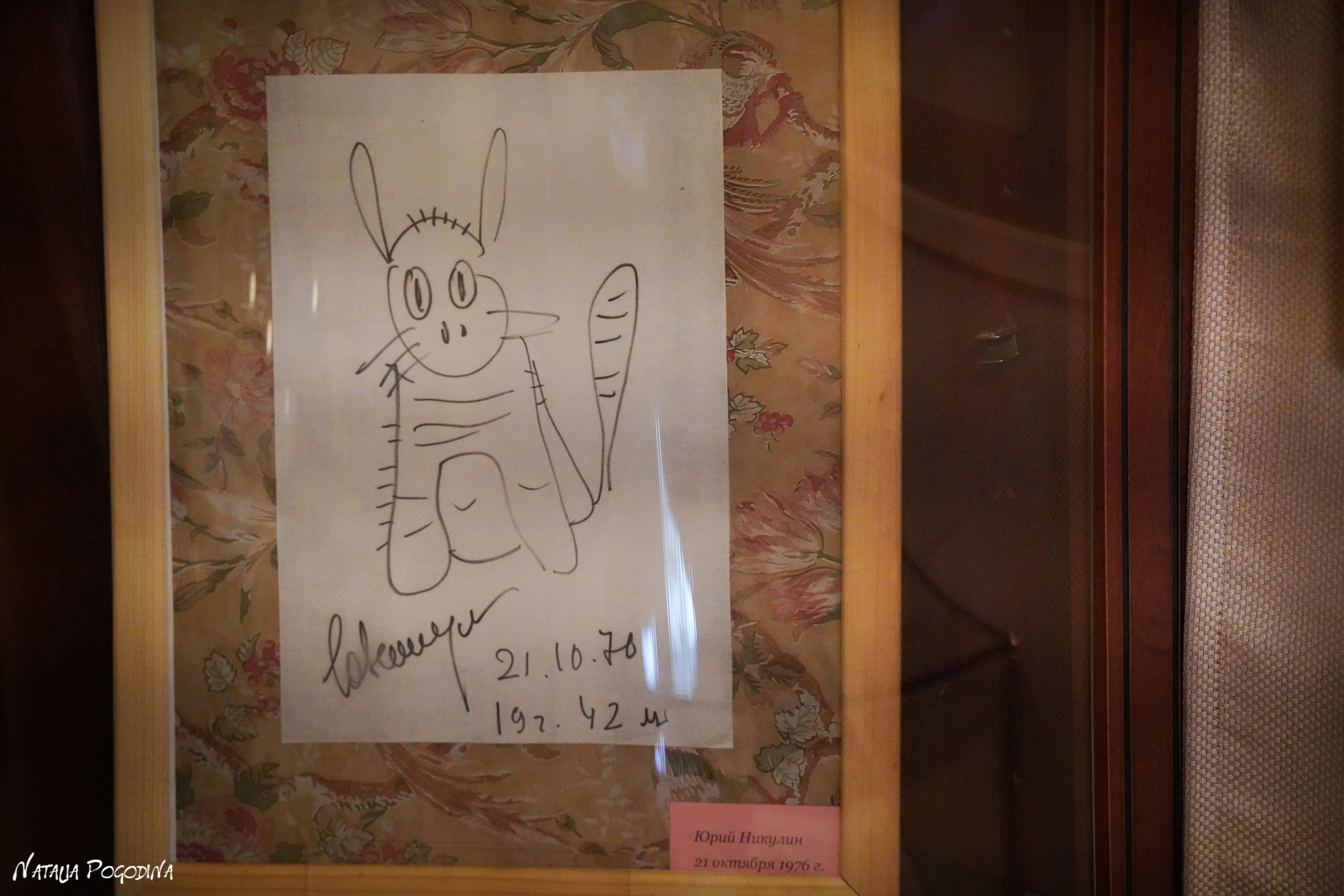 Фотопрогулка в Переделкино. Фотограф Наталья Погодина в г. Обнинске